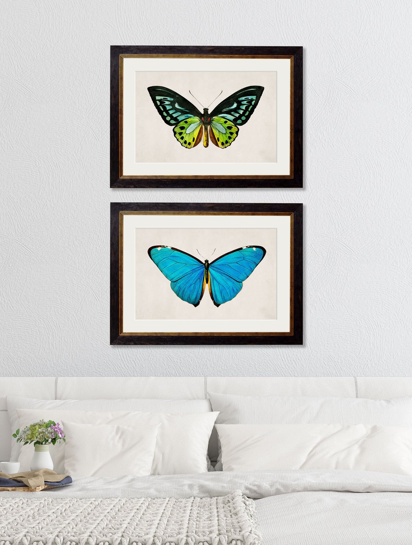 c 1836 tropical butterflies in size 38 x 50cm - glass-fronted framed wall art print with solid wood frame, designed for high-end interior design