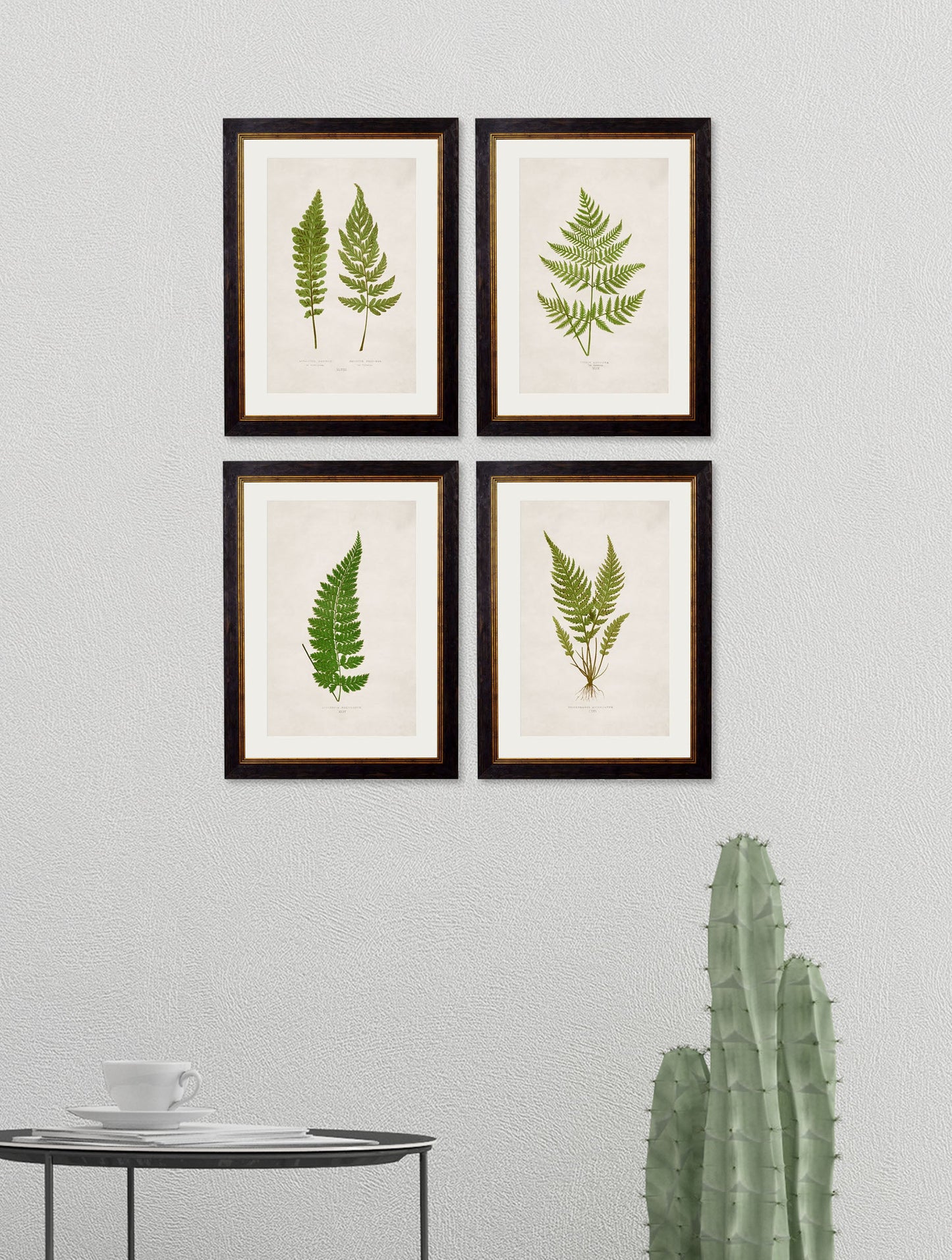 c 1864 collection of british ferns in size 38 x 50cm - glass-fronted framed wall art print with solid wood frame, luxury wall art for sophisticated spaces