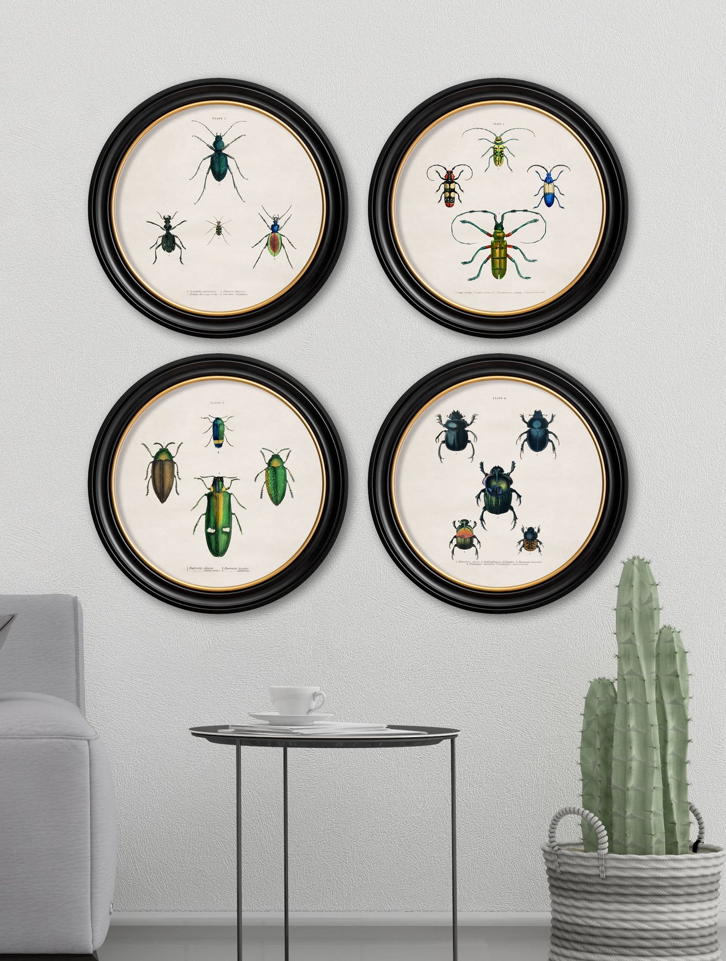 c 1836 beetle plate 1 round frame in size 44 x 44cm - glass-fronted framed wall art print with solid wood frame, adds elegance to your decor