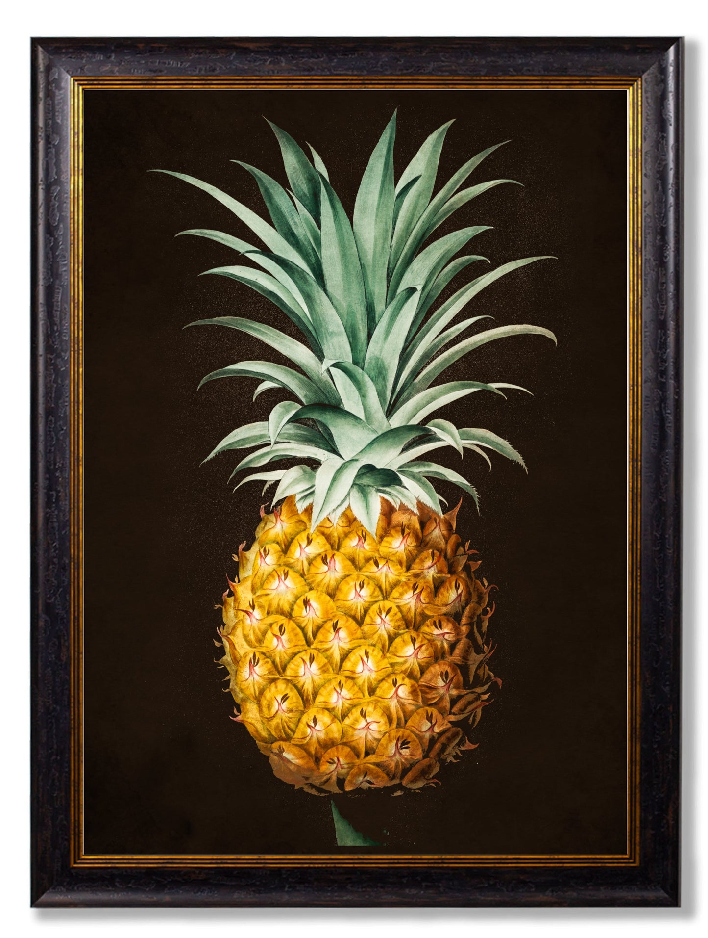c 1812 pineapple study giclee print in size 70 x 95cm - glass-fronted framed wall art print with solid wood frame, designed for high-end interior design