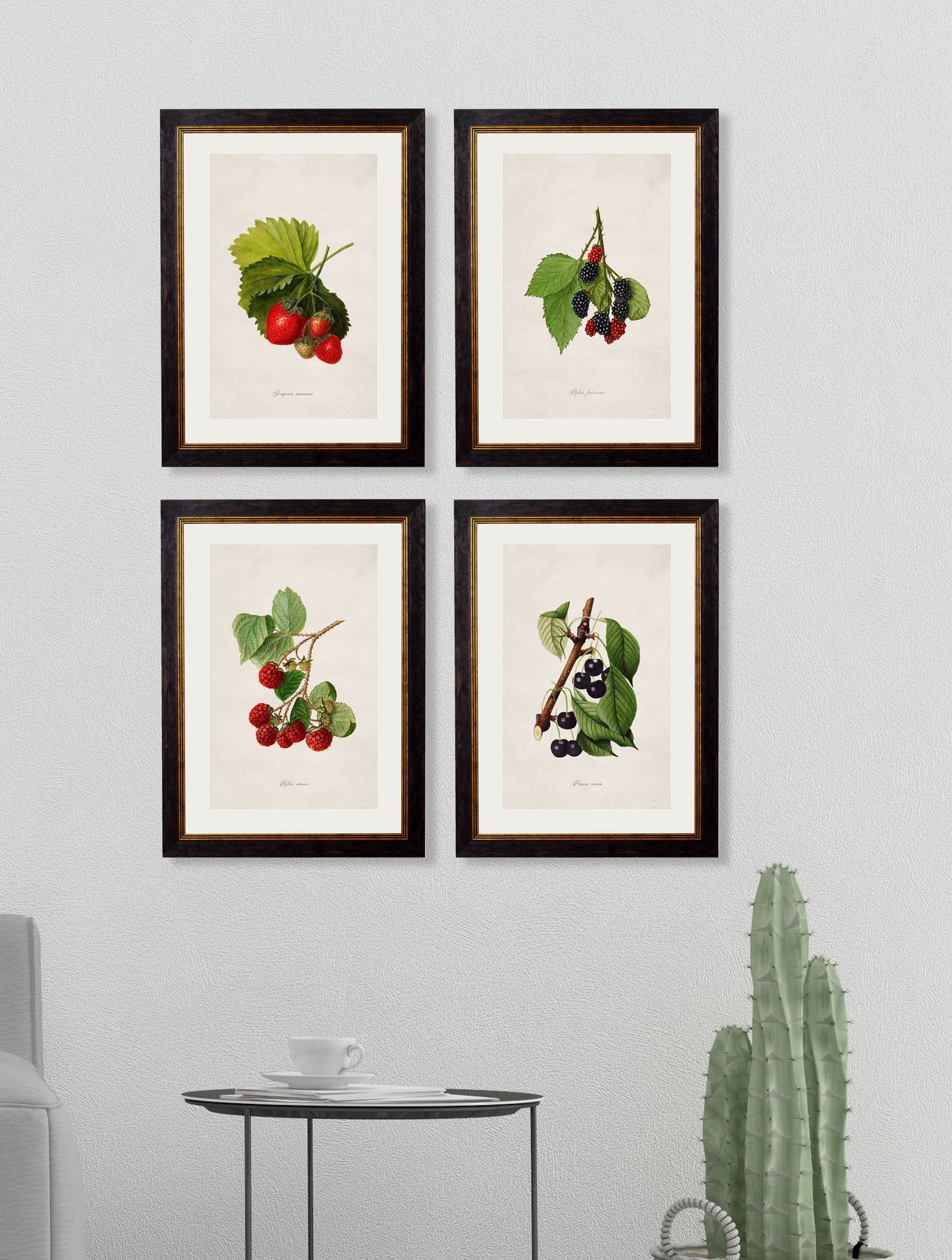 c 1886 study of blackberries in size 38 x 50cm - glass-fronted framed wall art print with solid wood frame, ideal for modern interiors
