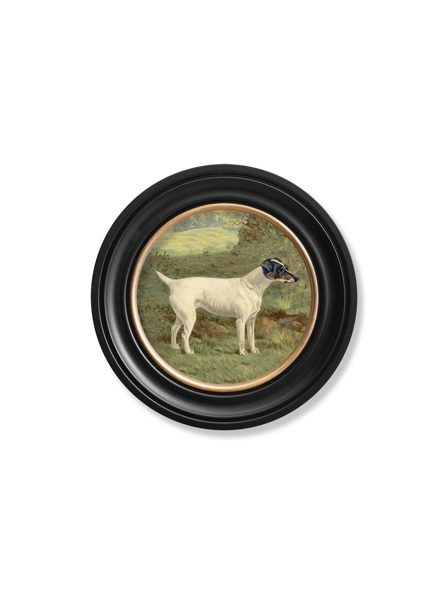 c 1881 terriers round frame in size 70 x 70cm - glass-fronted framed wall art print with solid wood frame, adds elegance to your decor
