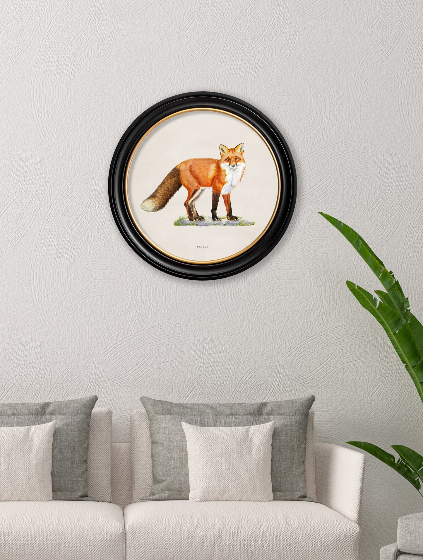 red fox round frame in size 70 x 70cm - glass-fronted framed wall art print with solid wood frame, perfect for statement wall decor