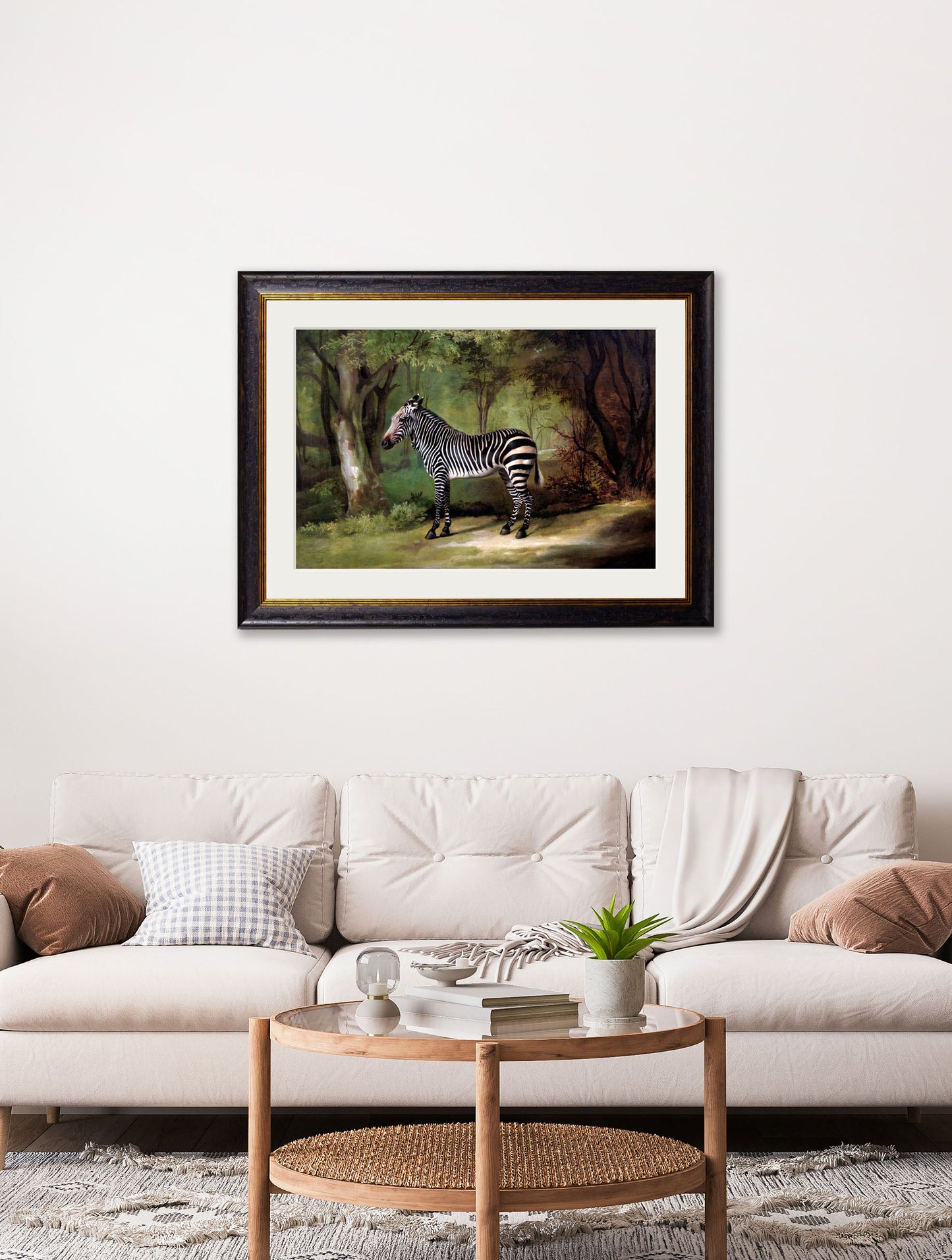 c 1763 george stubbs zebra in size 50 x 70cm - glass-fronted framed wall art print with solid wood frame, a beautiful addition to stylish homes