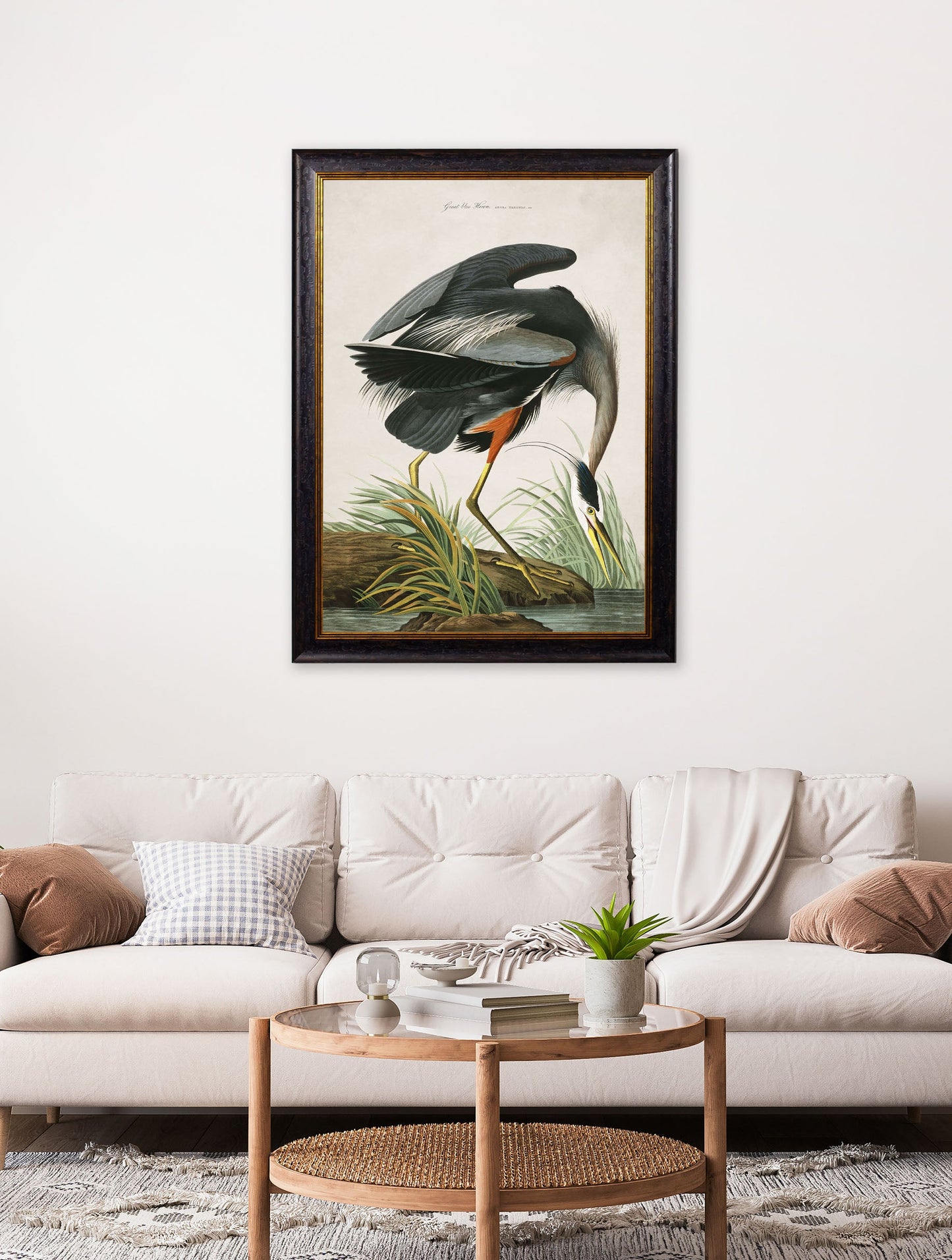 c 1838 audubons great blue crane in size 38 x 50cm - glass-fronted framed wall art print with solid wood frame, a beautiful addition to stylish homes