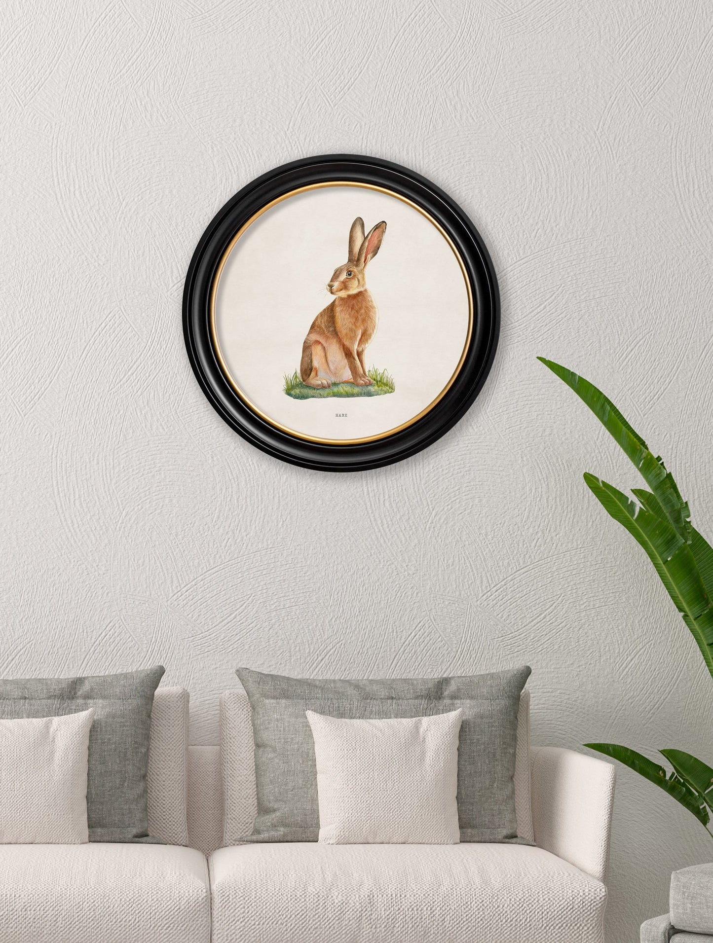 hare round frame in size 70 x 70cm - glass-fronted framed wall art print with solid wood frame, perfect for luxury home decor