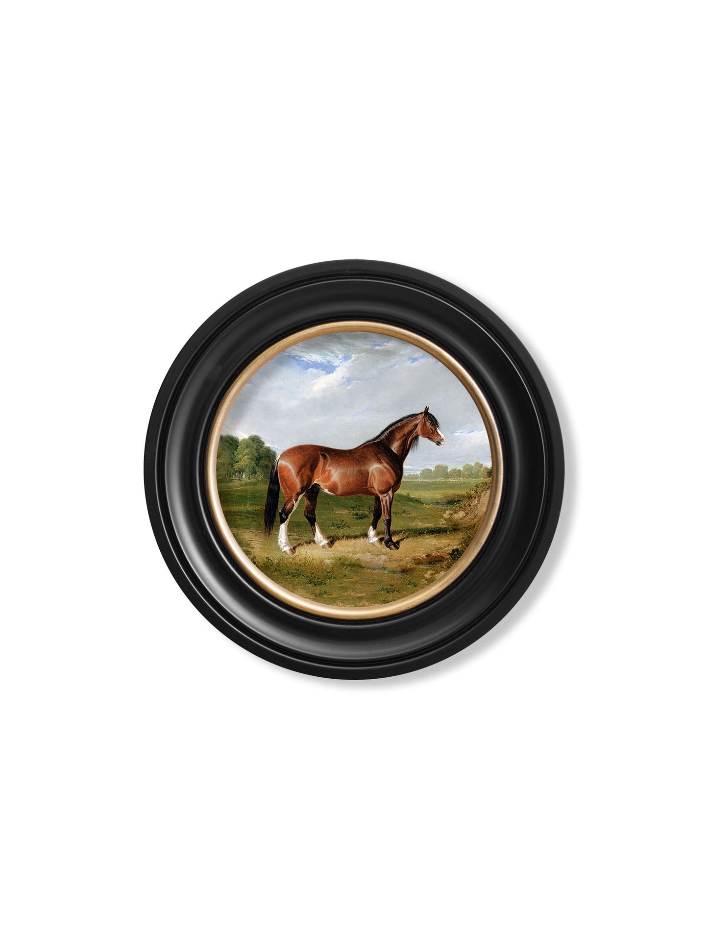 c 1840 horses round frame in size 70 x 70cm - glass-fronted framed wall art print with solid wood frame, a beautiful addition to stylish homes