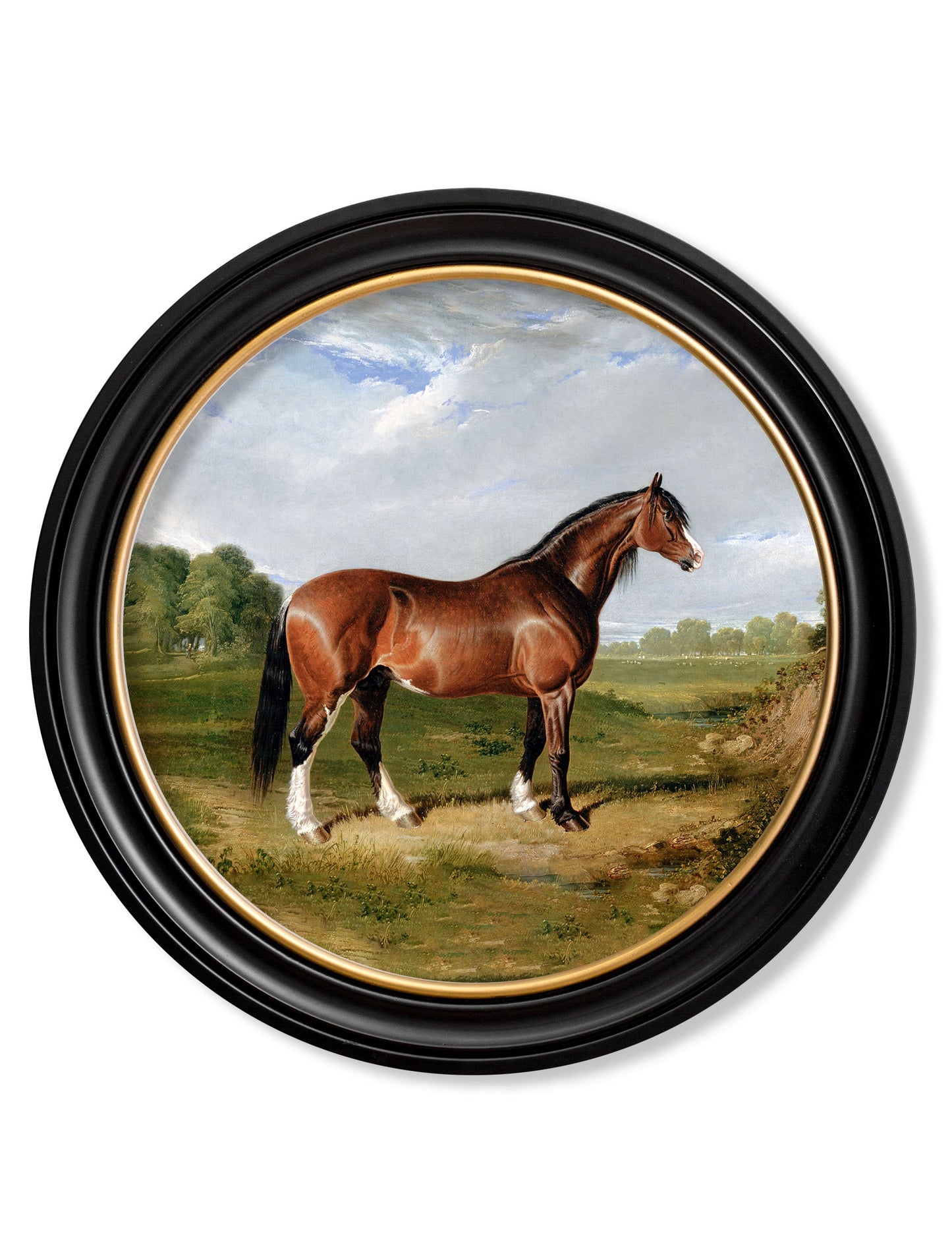 c 1840 horses round frame in size 70 x 70cm - glass-fronted framed wall art print with solid wood frame, luxury wall art for sophisticated spaces