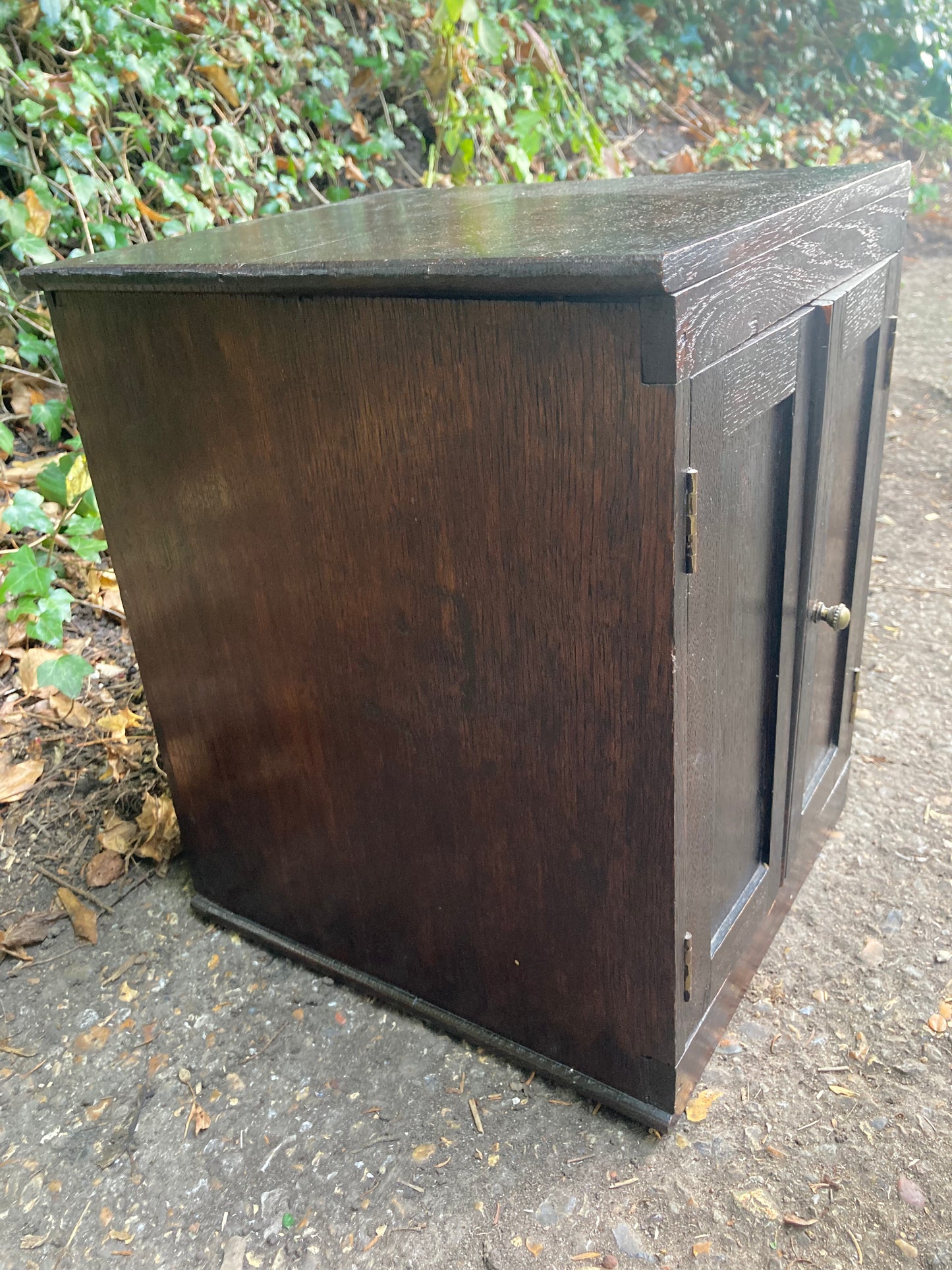Antique Small Collectors Cabinet With Two Pull Out Trays