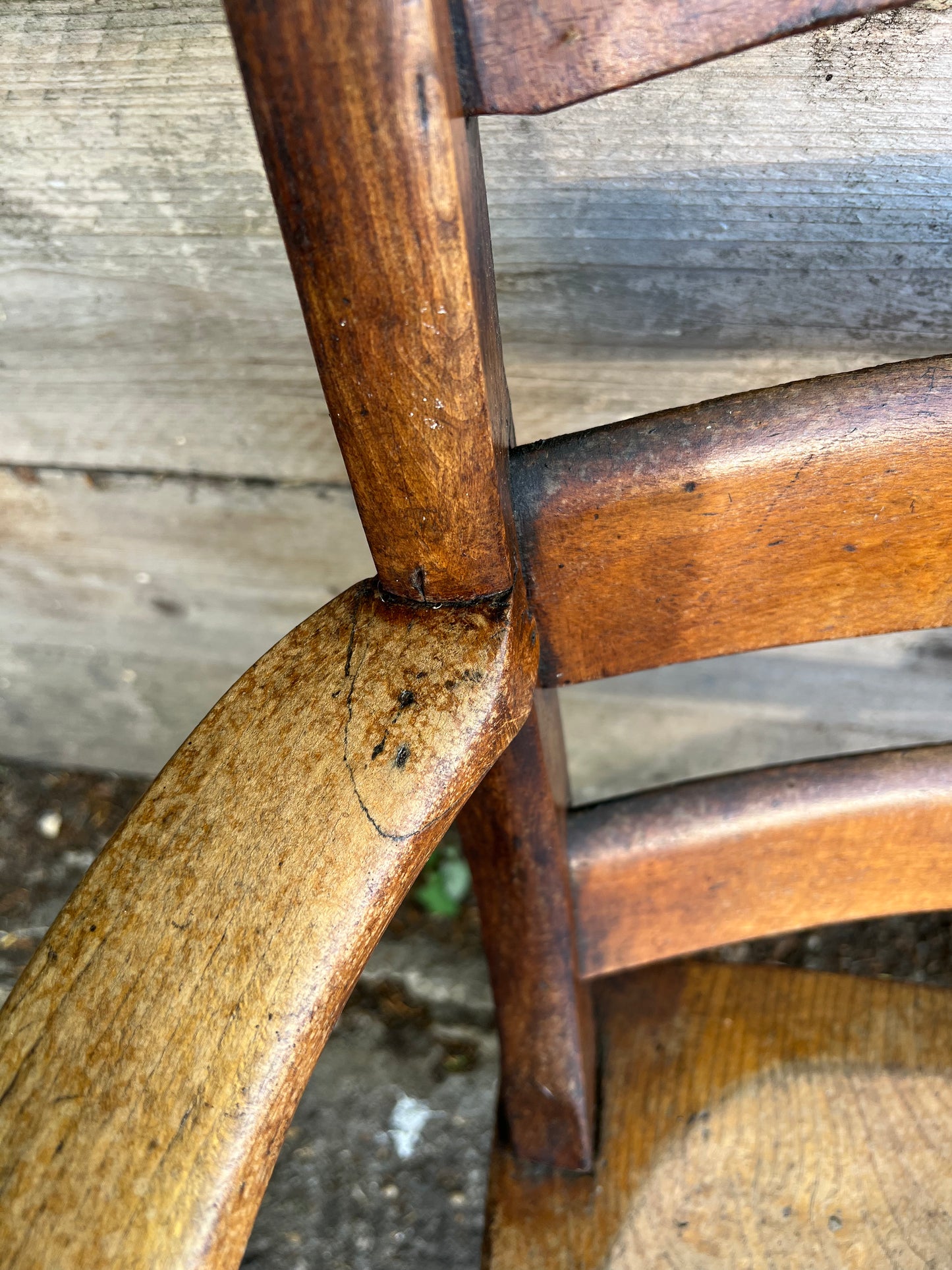Victorian Elm Bar Back Carver Chair