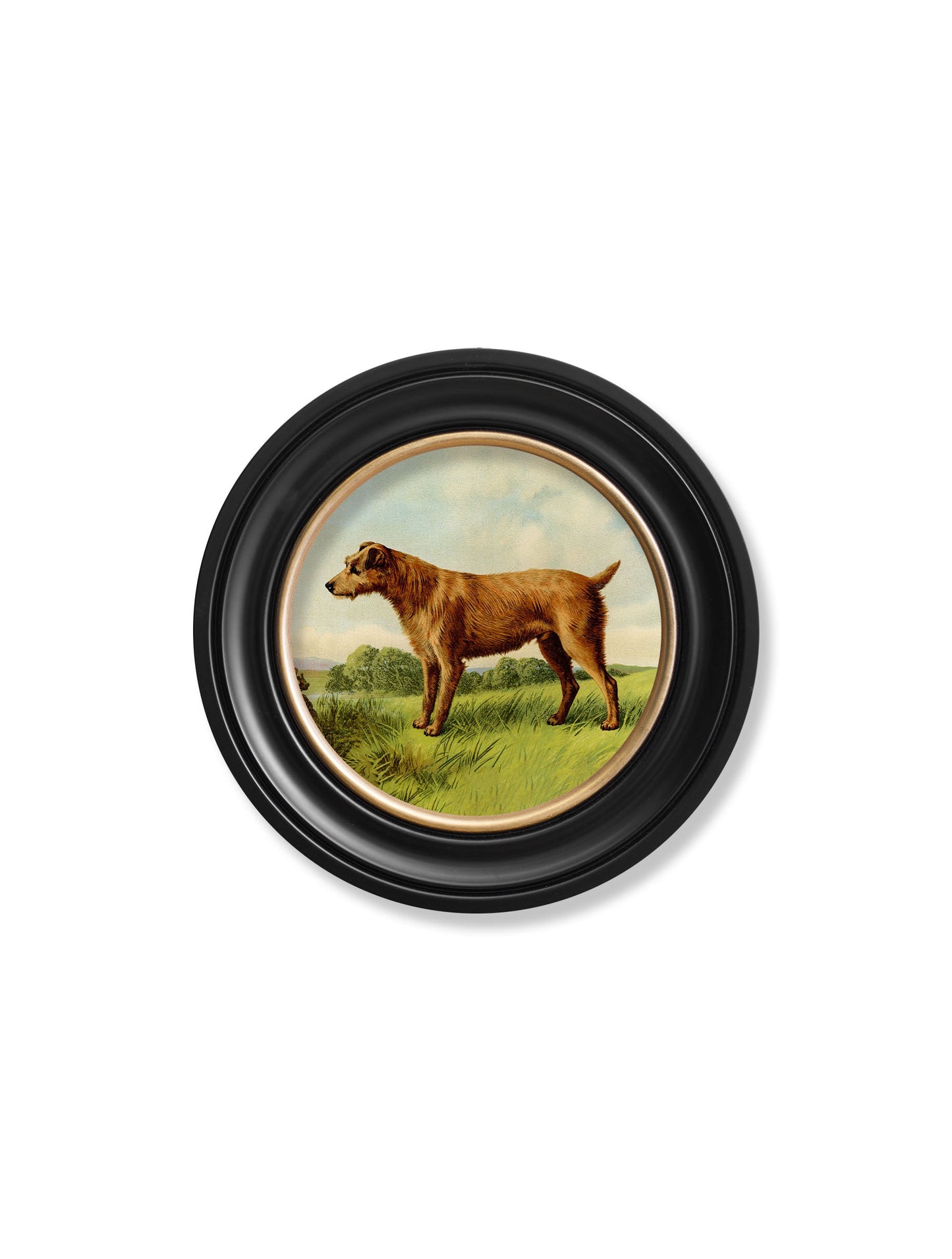 c 1881 terriers round frame in size 70 x 70cm - glass-fronted framed wall art print with solid wood frame, luxury wall art for sophisticated spaces