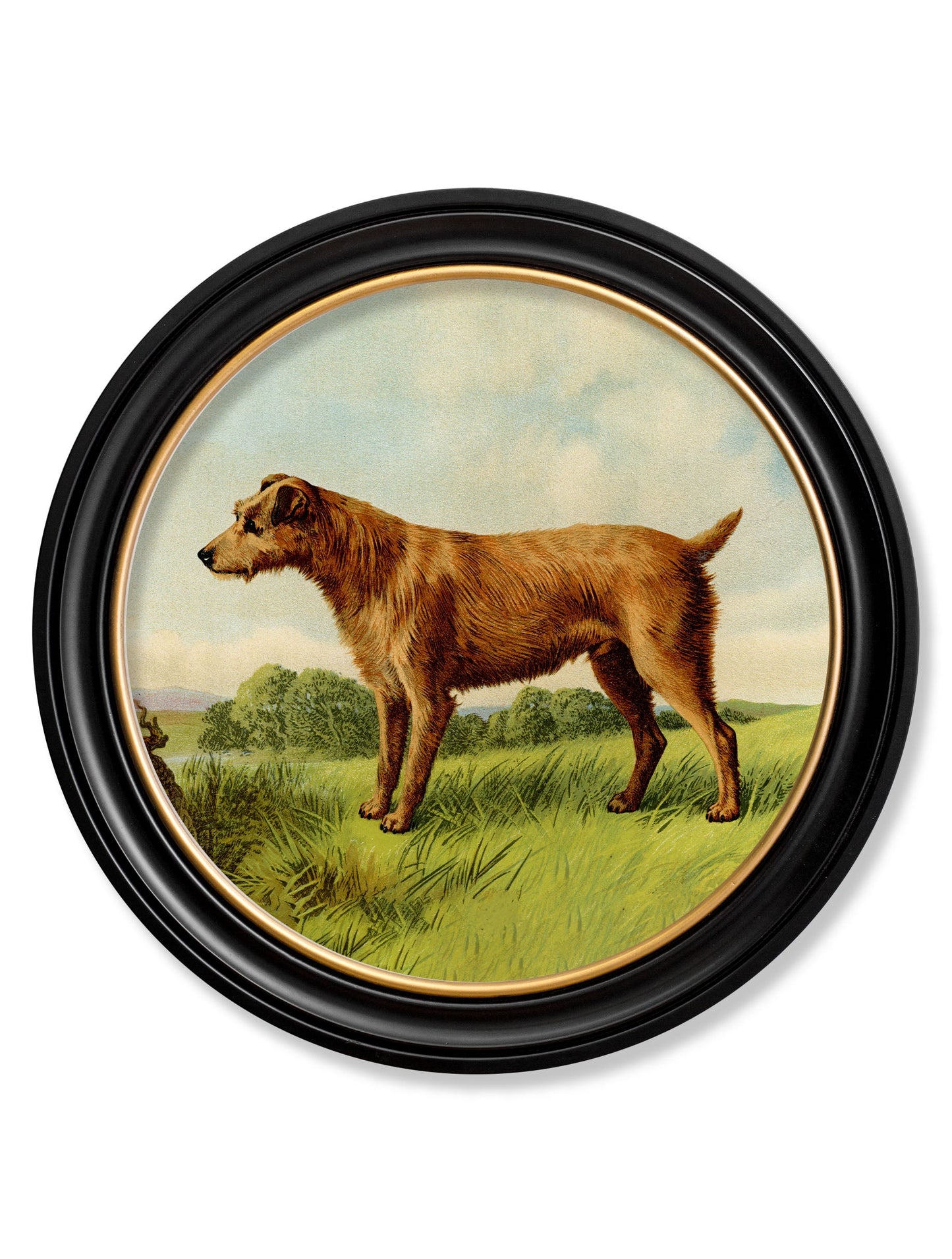 c 1881 terriers round frame in size 70 x 70cm - glass-fronted framed wall art print with solid wood frame, adds elegance to your decor