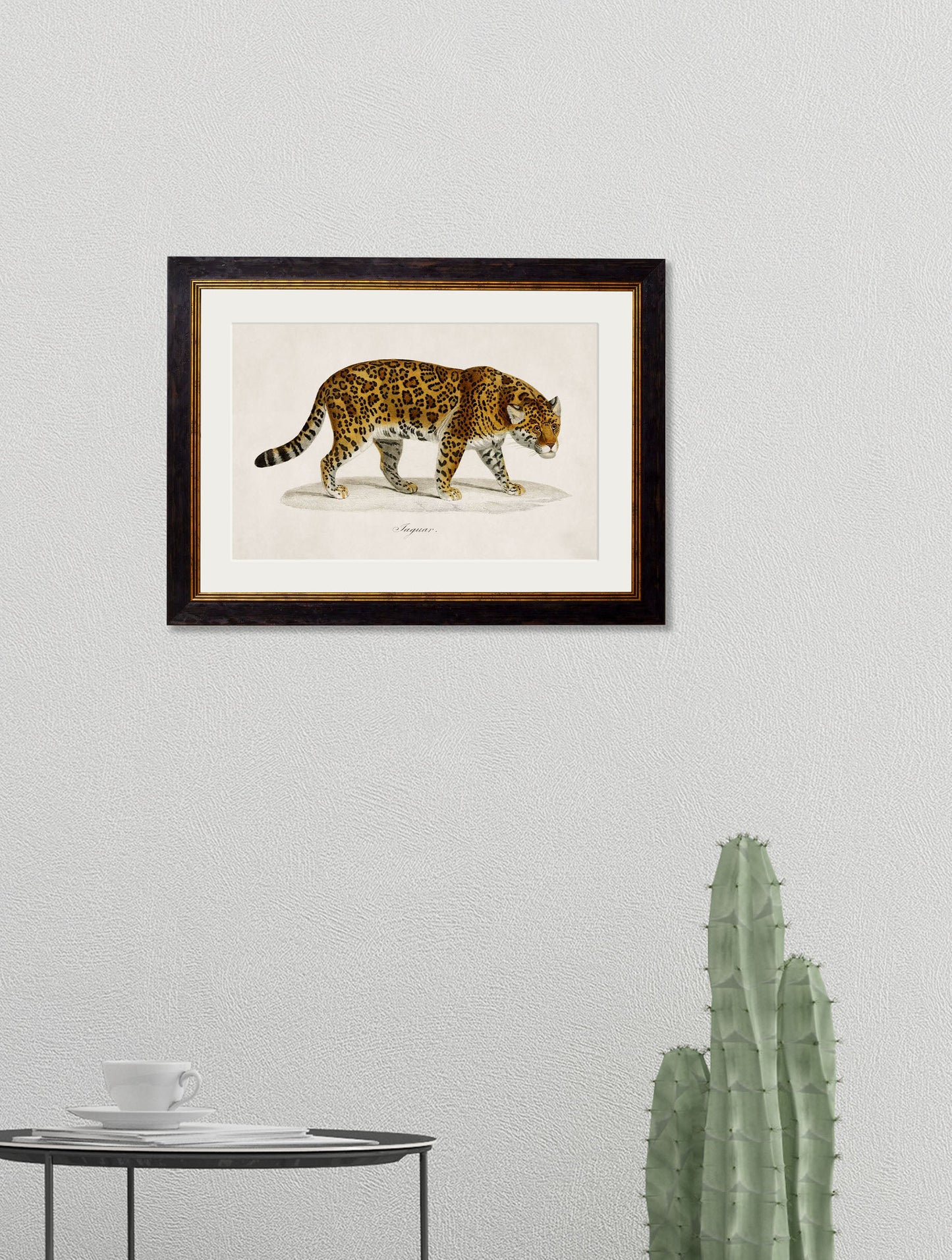c 1836 jaguar in size 50 x 70cm - glass-fronted framed wall art print with solid wood frame, perfect for luxury home decor