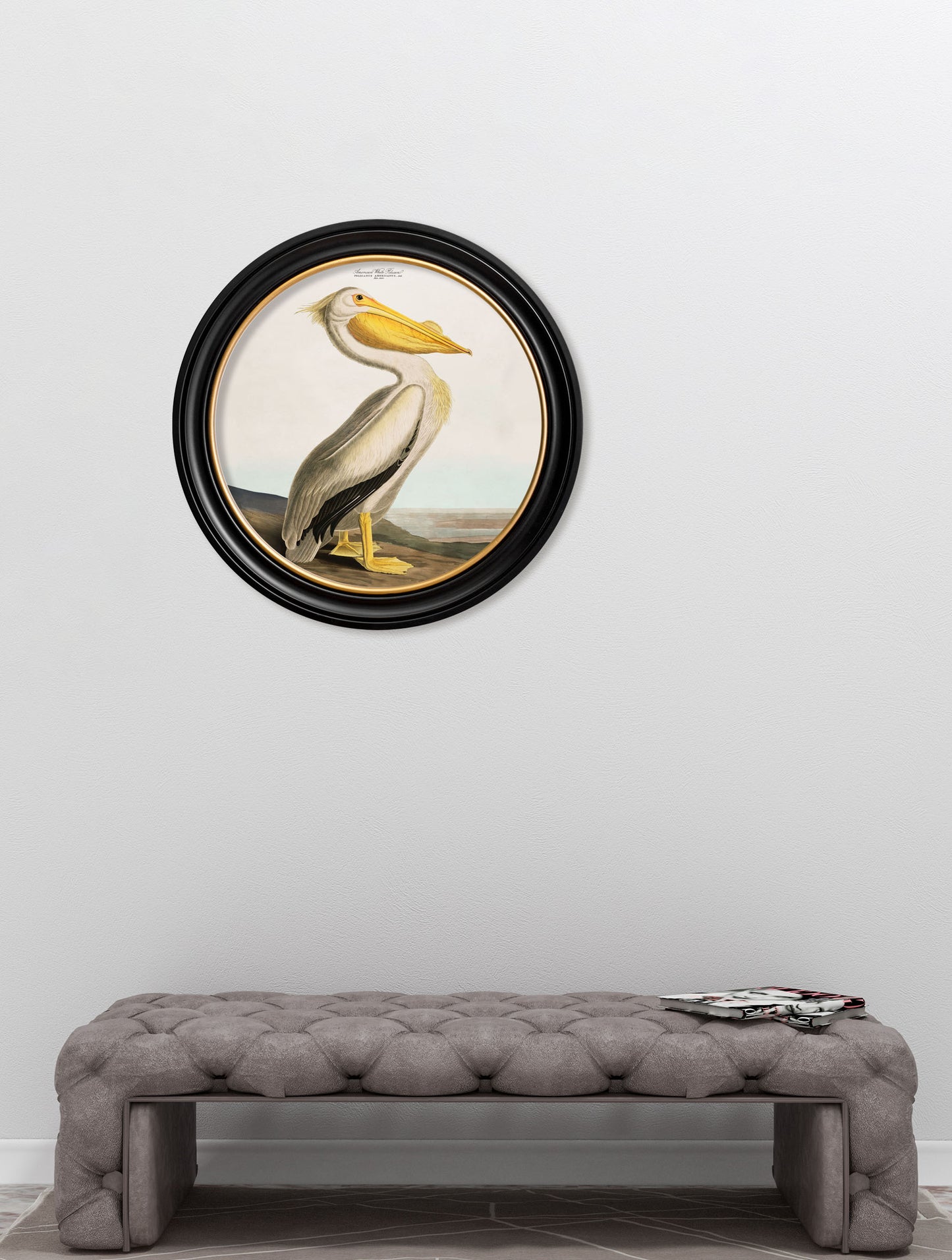 c 1838 audubons pelican light round frame in size 70 x 70cm - glass-fronted framed wall art print with solid wood frame, perfect for luxury home decor