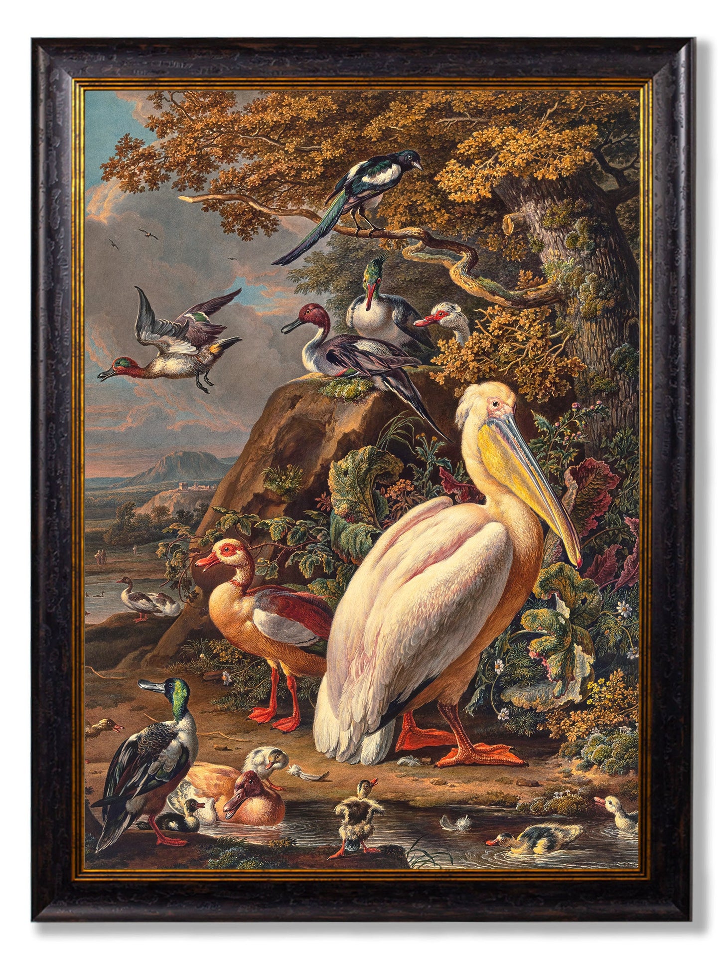 c 1683 pelican painting in size 50 x 70cm - glass-fronted framed wall art print with solid wood frame, perfect for statement wall decor