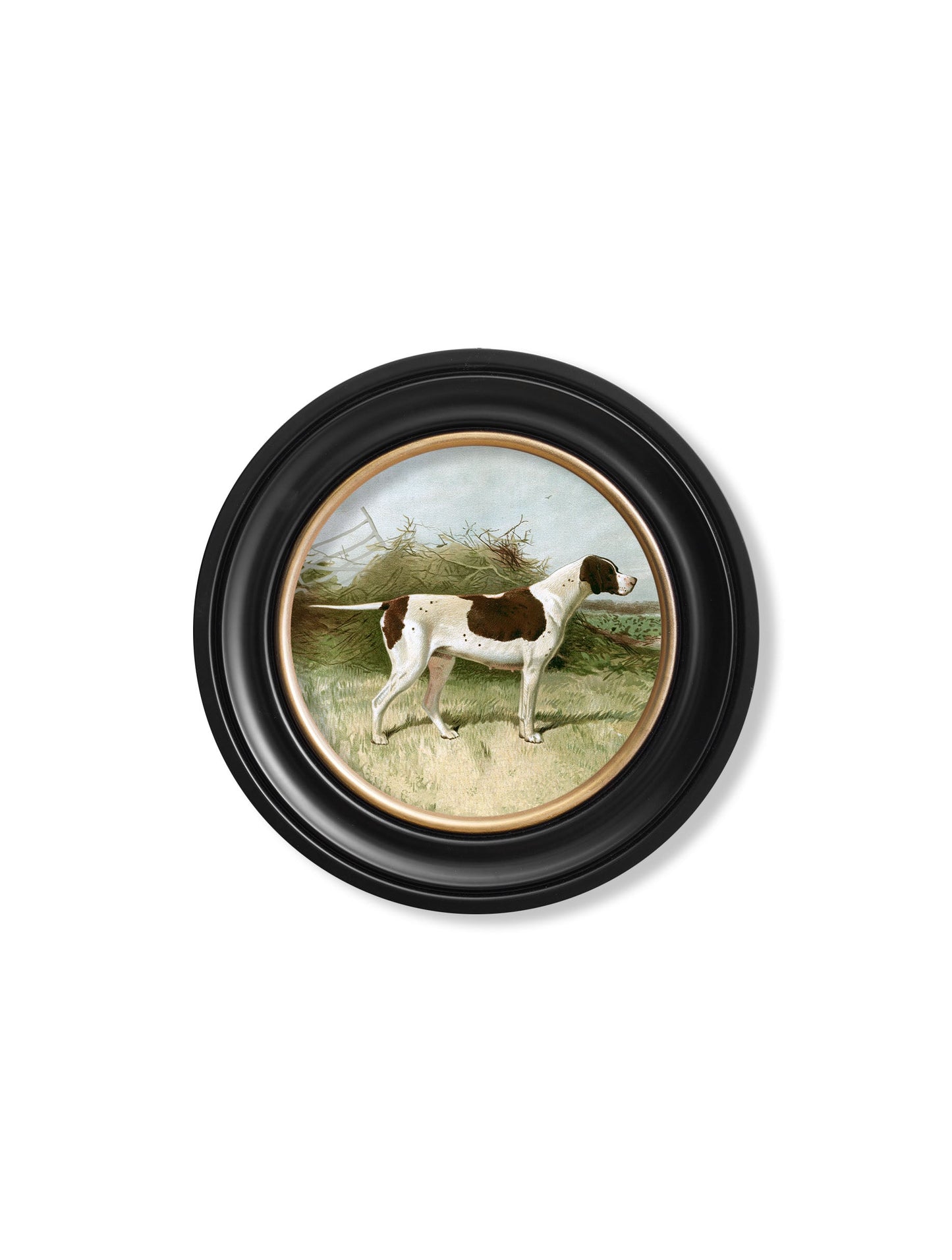 c 1881 working dogs round frame in size 70 x 70cm - glass-fronted framed wall art print with solid wood frame, perfect for luxury home decor