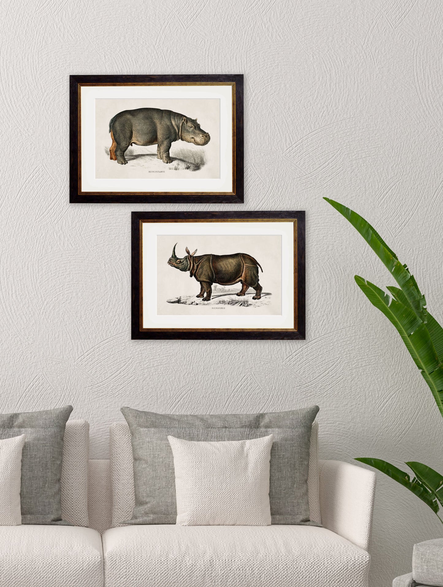 c 1846 rhino hippo in size 38 x 50cm - glass-fronted framed wall art print with solid wood frame, ideal for contemporary home styling
