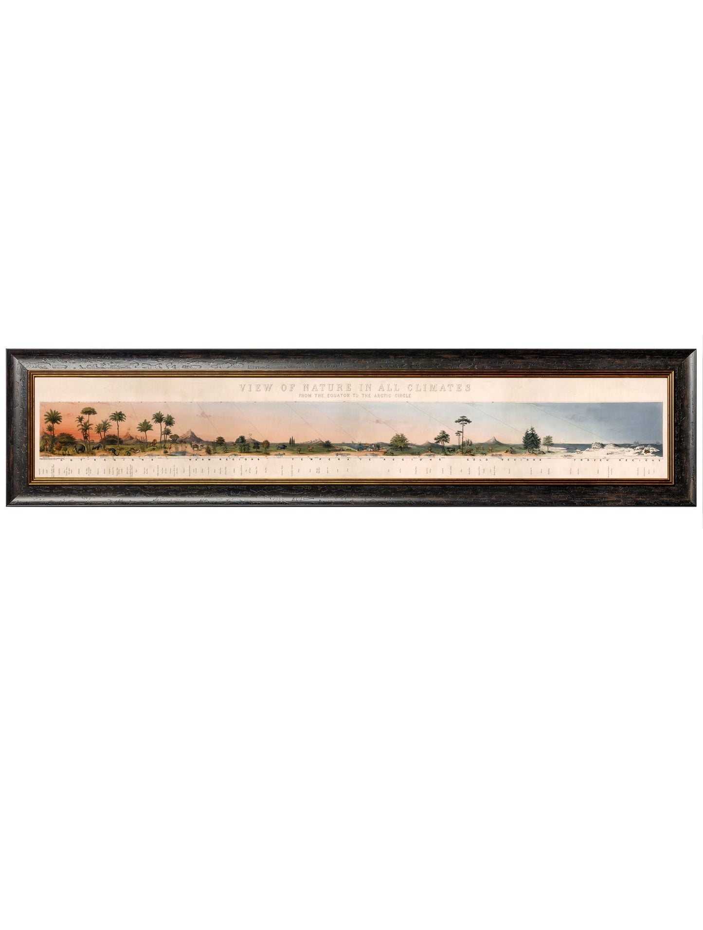 c 1852 view of nature in all climates from the equator to the arctic circle - premium glass-fronted framed art print with solid wood frame, designed for high-end interior design