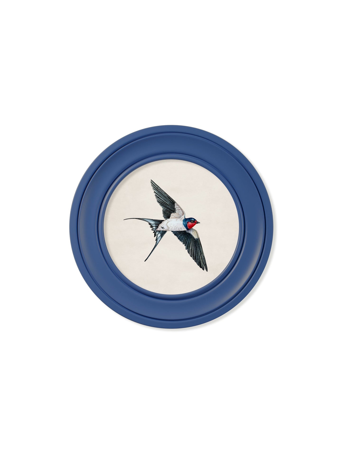 c 1875 swallows in round frames blue in size 70 x 70cm - glass-fronted framed wall art print with solid wood frame, perfect for statement wall decor