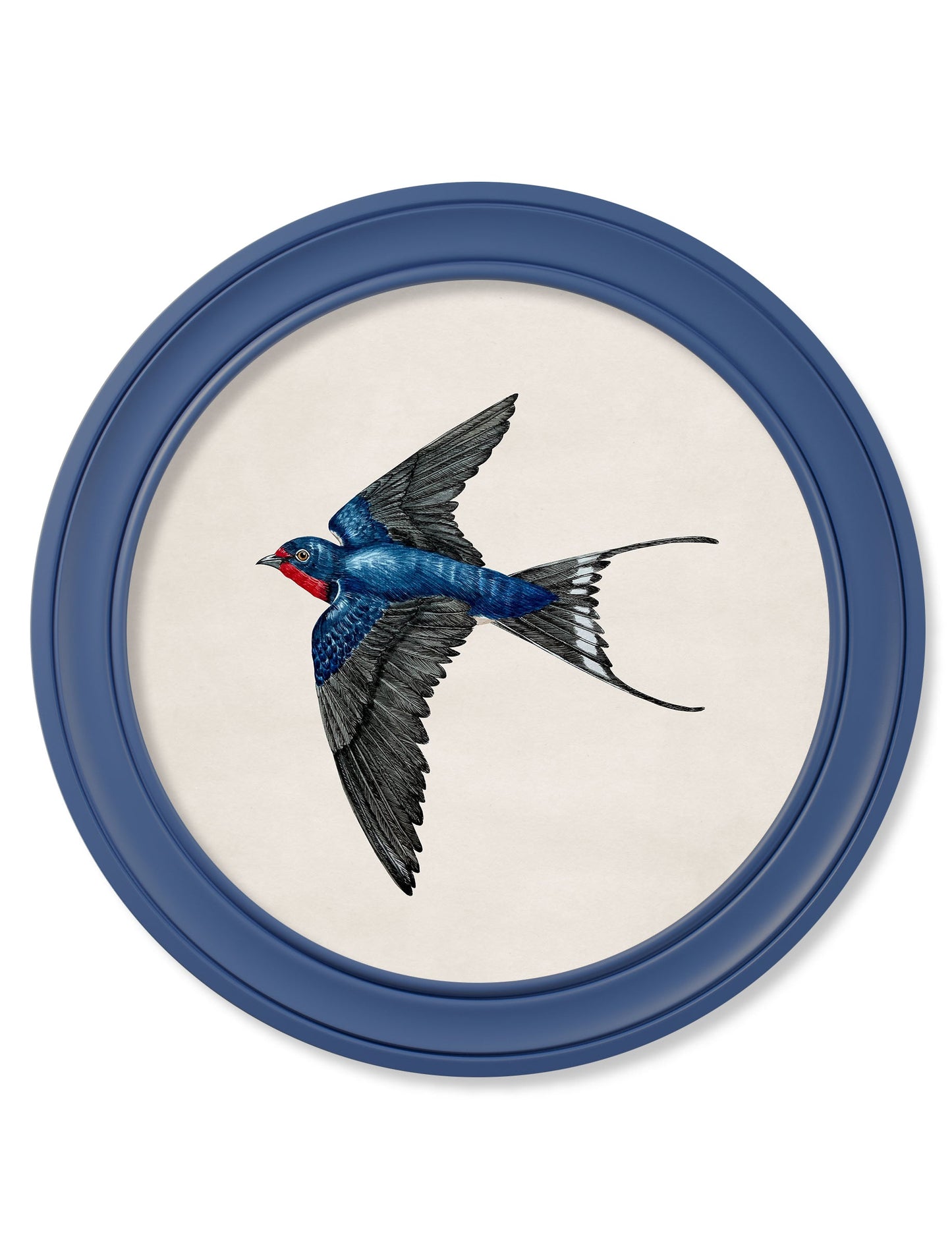 c 1875 swallows in round frames blue in size 70 x 70cm - glass-fronted framed wall art print with solid wood frame, designed for high-end interior design