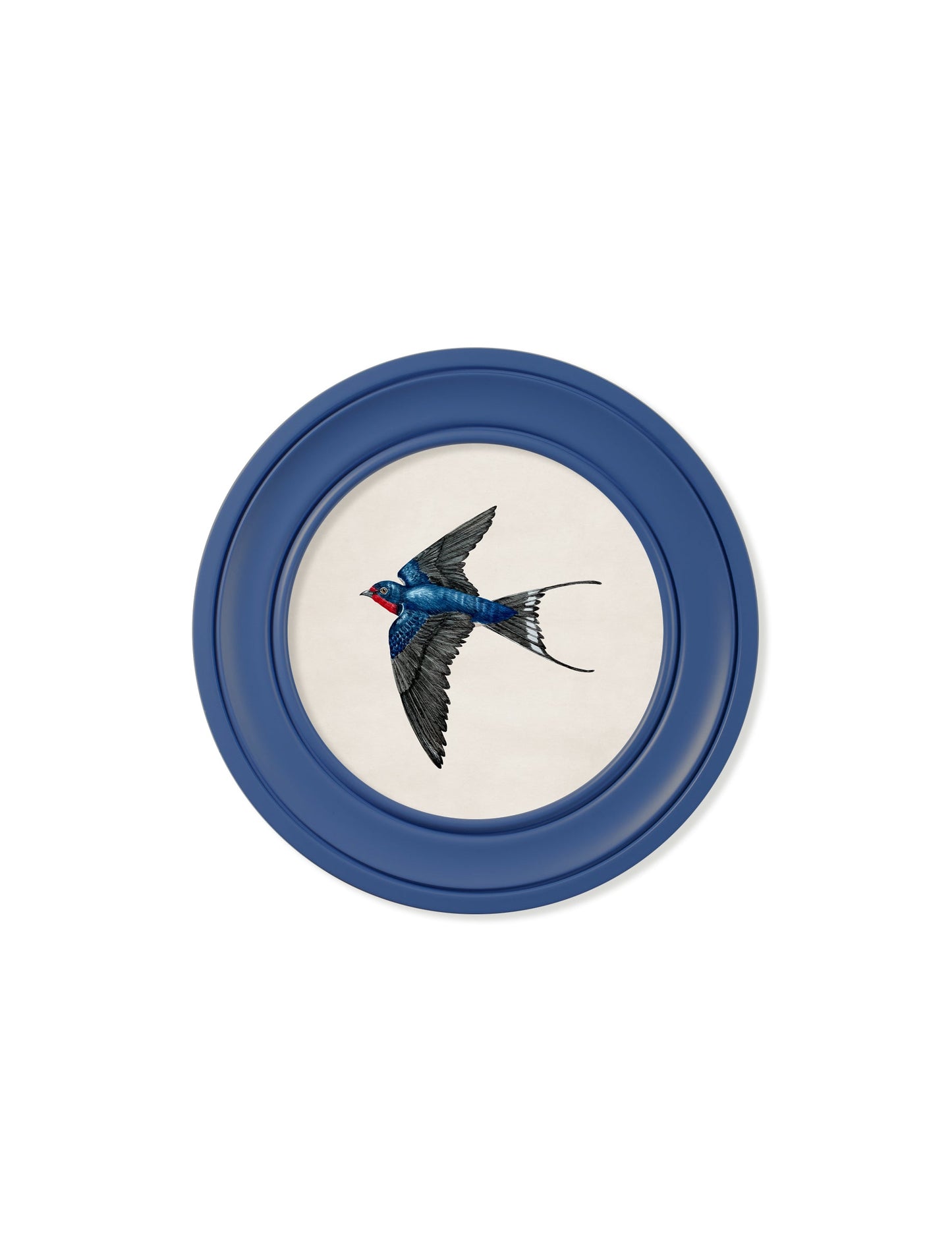 c 1875 swallows in round frames blue in size 44 x 44cm - glass-fronted framed wall art print with solid wood frame, perfect for statement wall decor