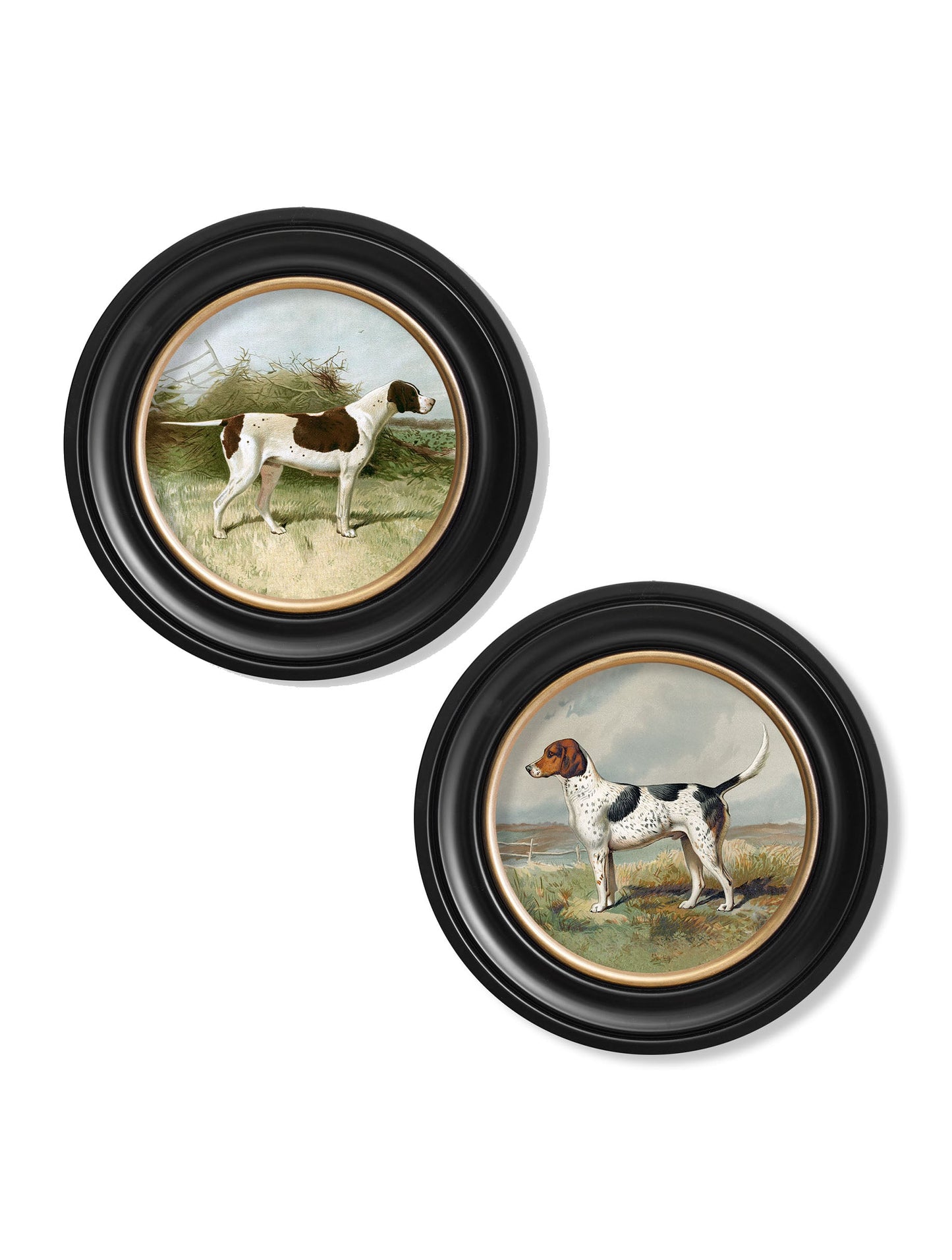 c 1881 working dogs round frame - premium glass-fronted framed art print with solid wood frame, ideal for modern interiors