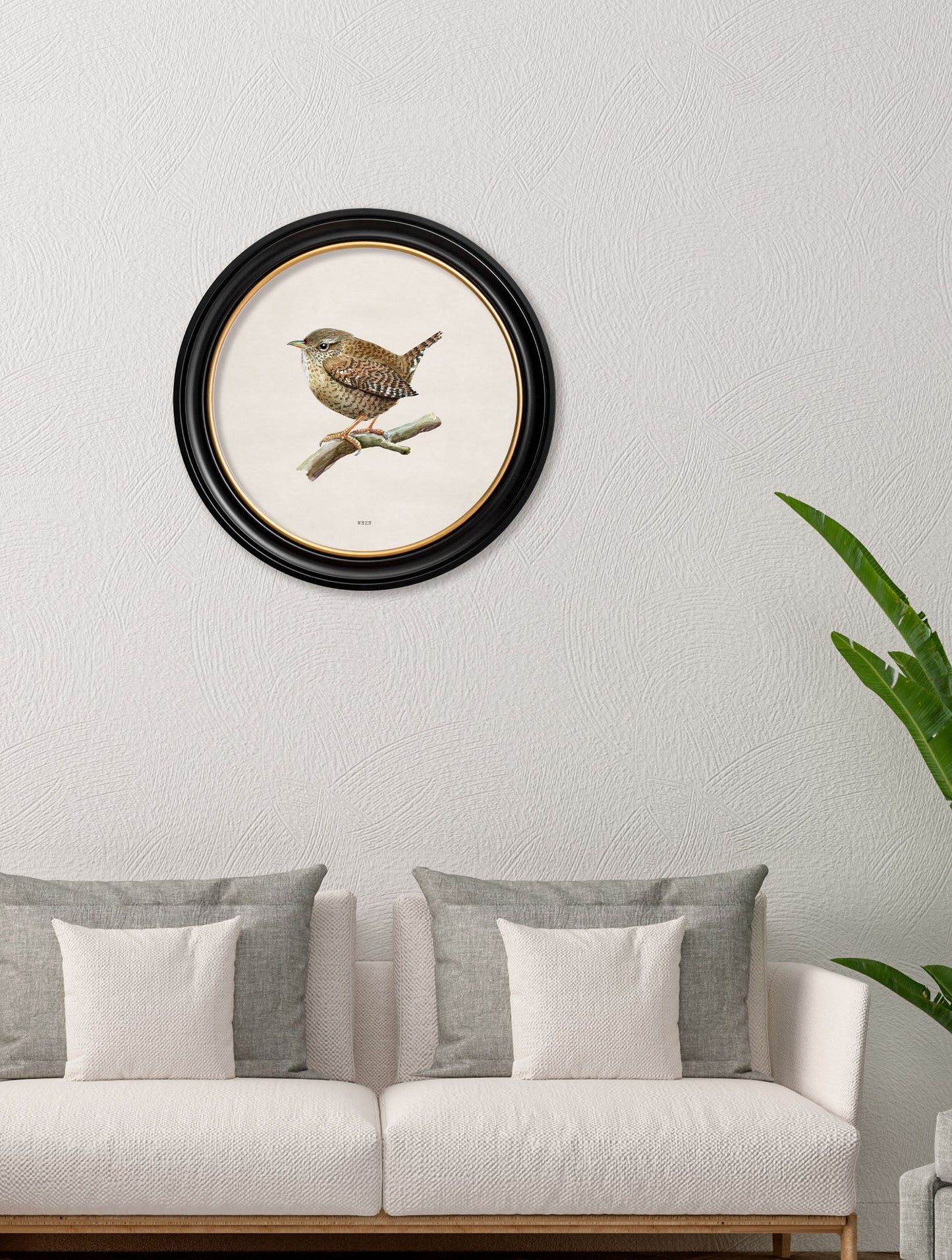 wren in round frame in size 70 x 70cm - glass-fronted framed wall art print with solid wood frame, adds elegance to your decor