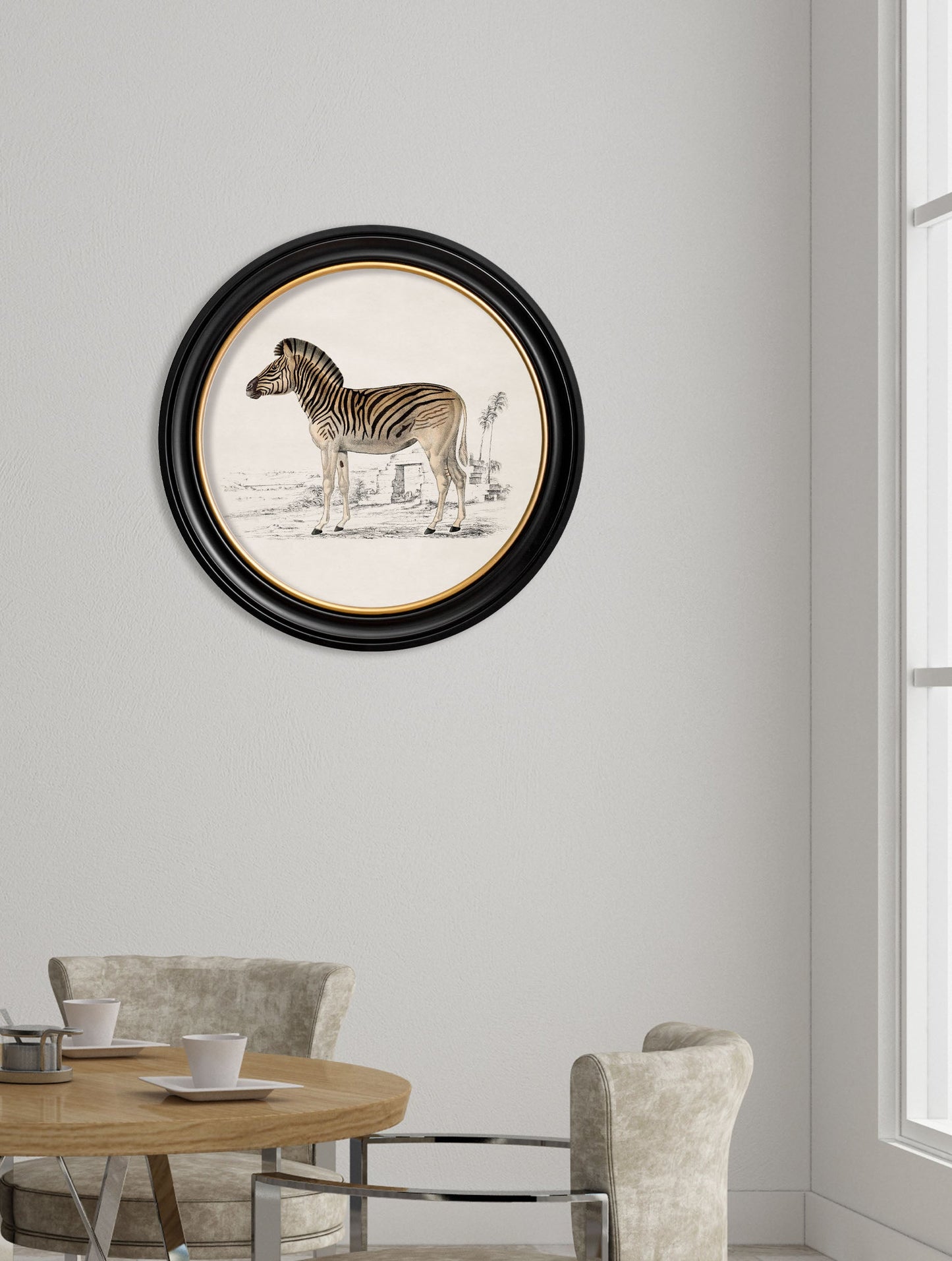 c 1774 zebra round frame in size 70 x 70cm - glass-fronted framed wall art print with solid wood frame, perfect for luxury home decor