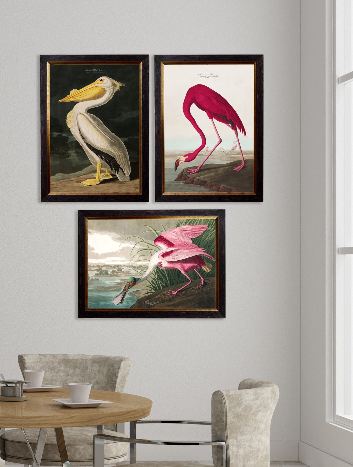 c 1838 audubons birds of america in size 38 x 50cm - glass-fronted framed wall art print with solid wood frame, perfect for statement wall decor