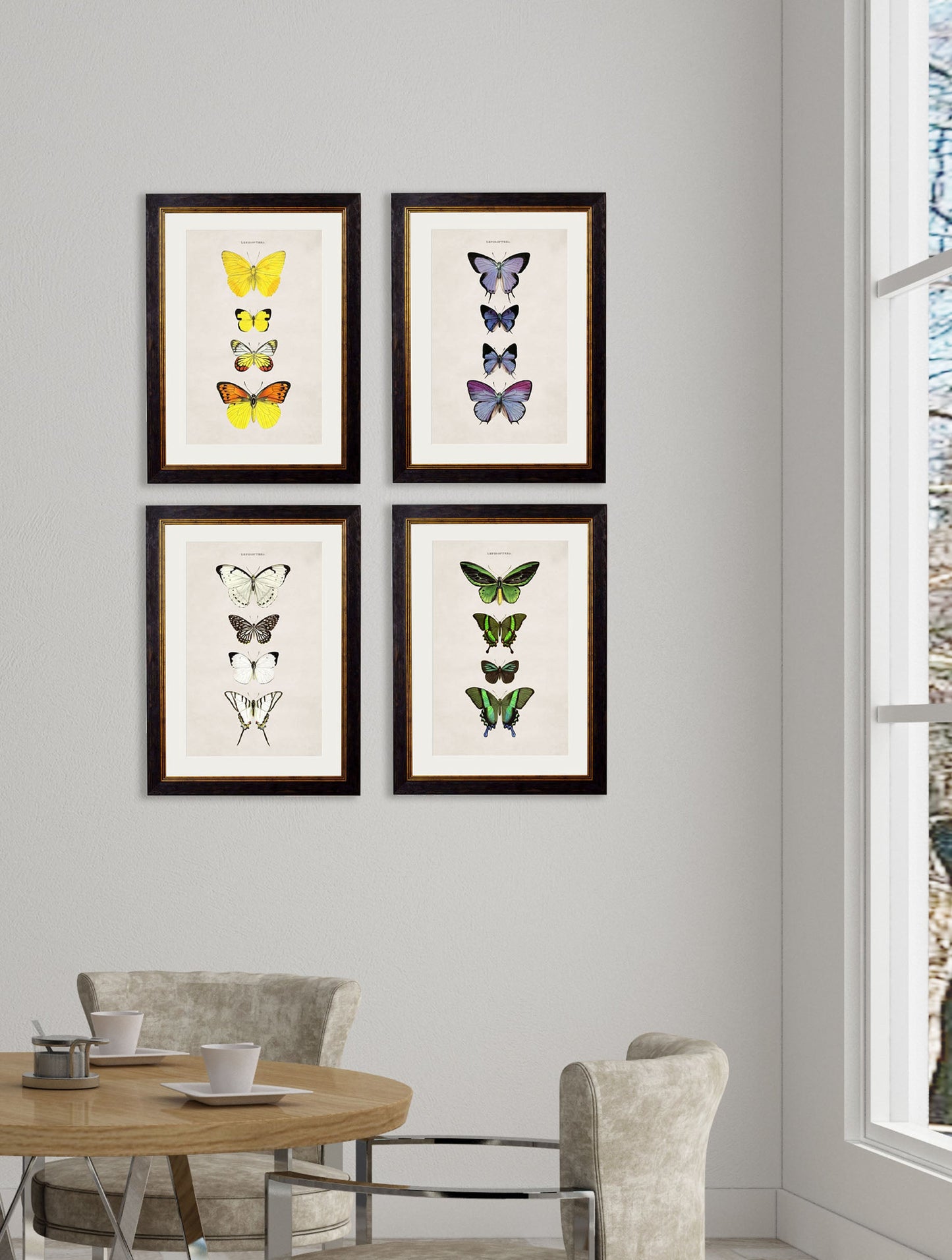 c 1835 butterflies in size 38 x 50cm - glass-fronted framed wall art print with solid wood frame, perfect for statement wall decor