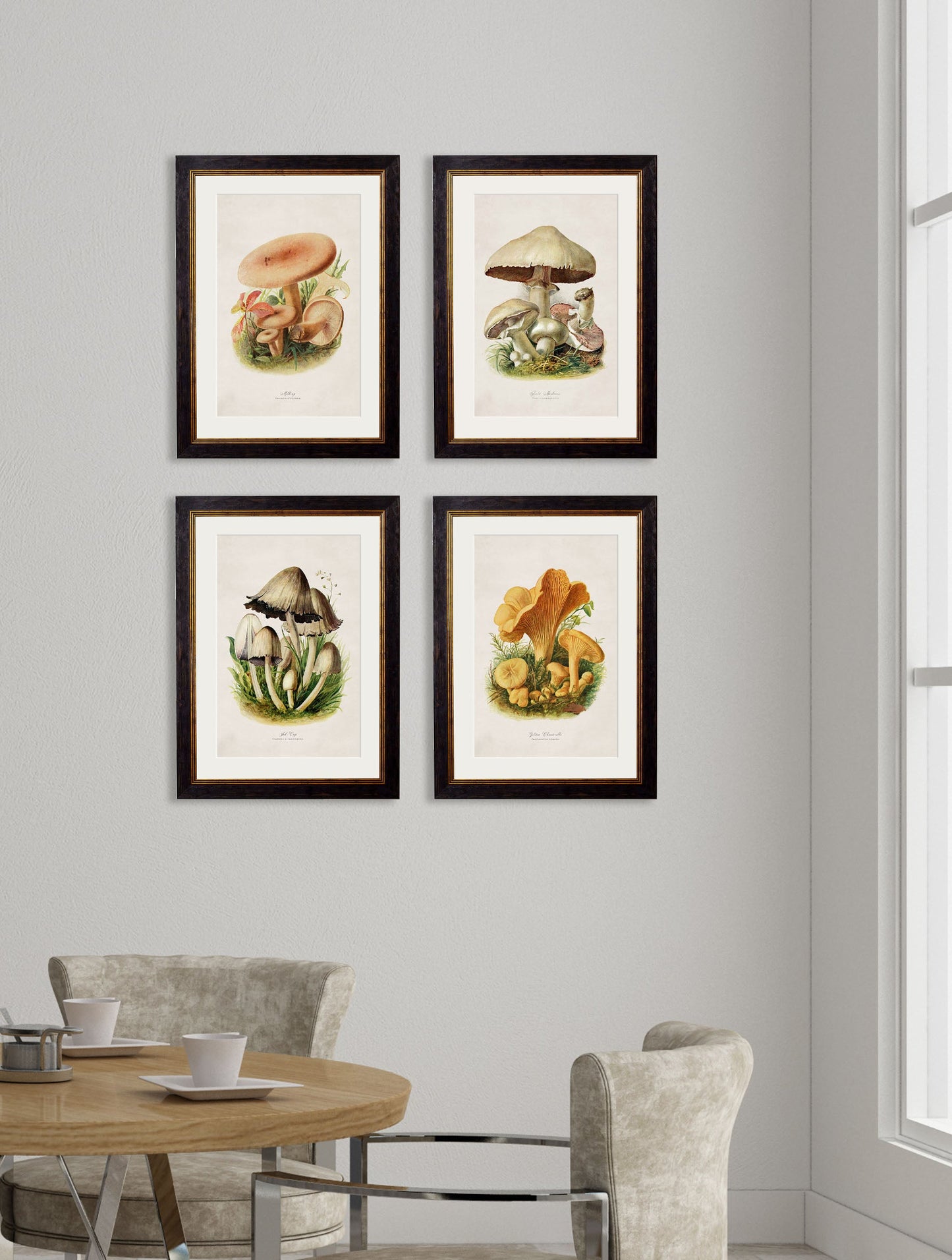 c 1913 edible mushrooms in size 38 x 50cm - glass-fronted framed wall art print with solid wood frame, a beautiful addition to stylish homes