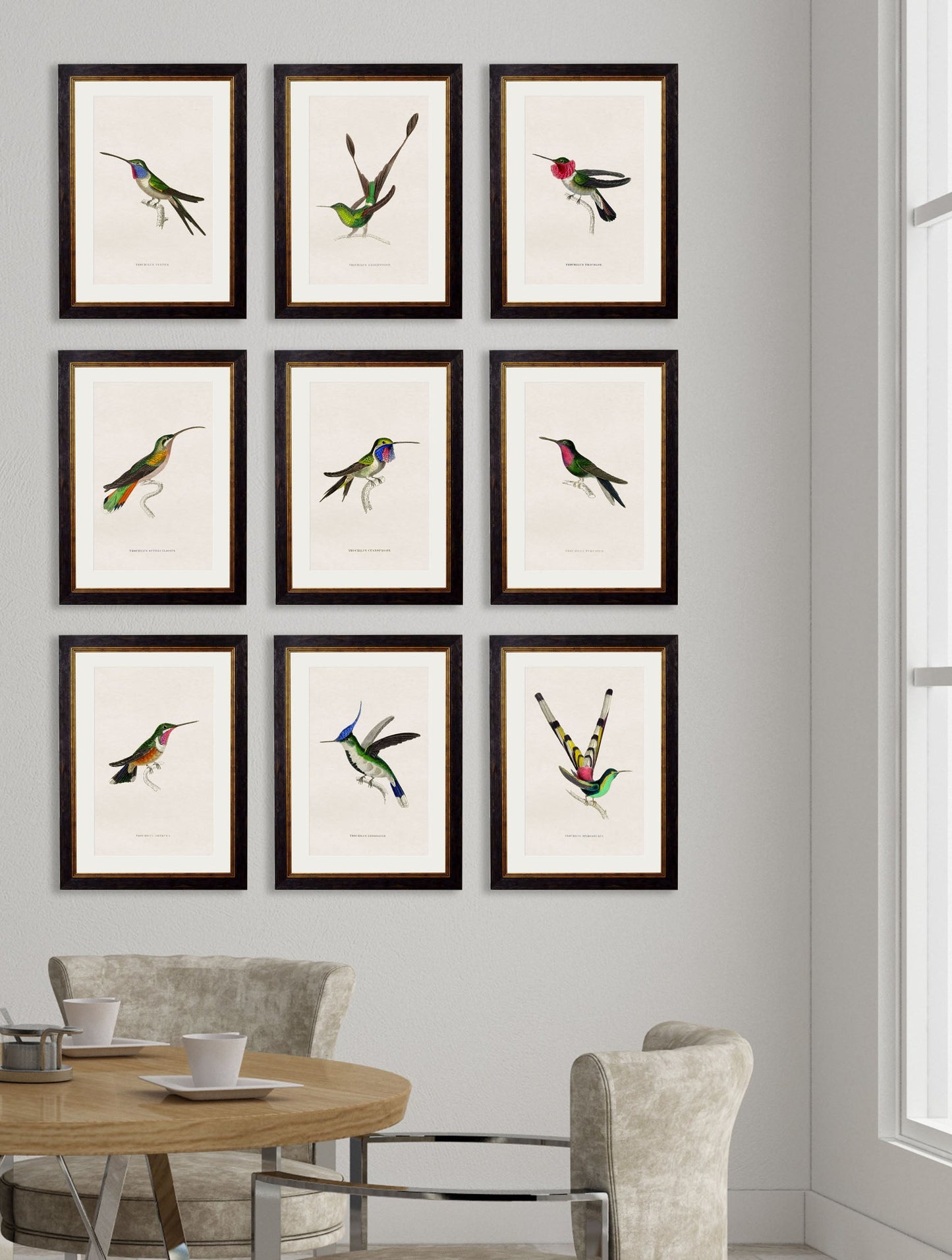 c 1833 hummingbirds 1 in size 38 x 50cm - glass-fronted framed wall art print with solid wood frame, perfect for statement wall decor