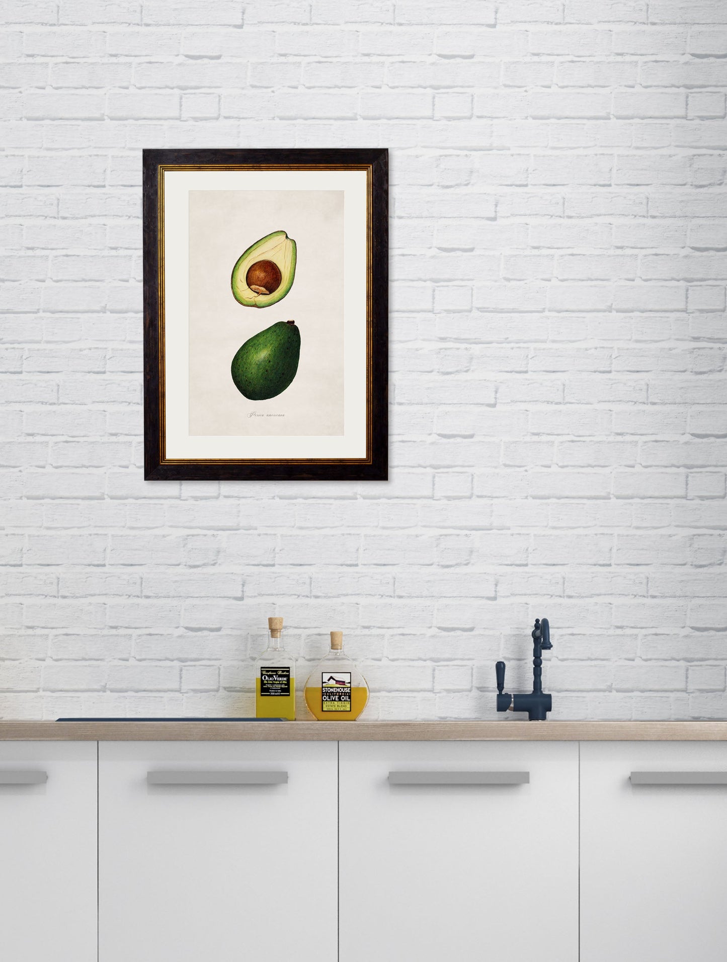 c 1886 study of avacados - premium glass-fronted framed art print with solid wood frame, designed for high-end interior design