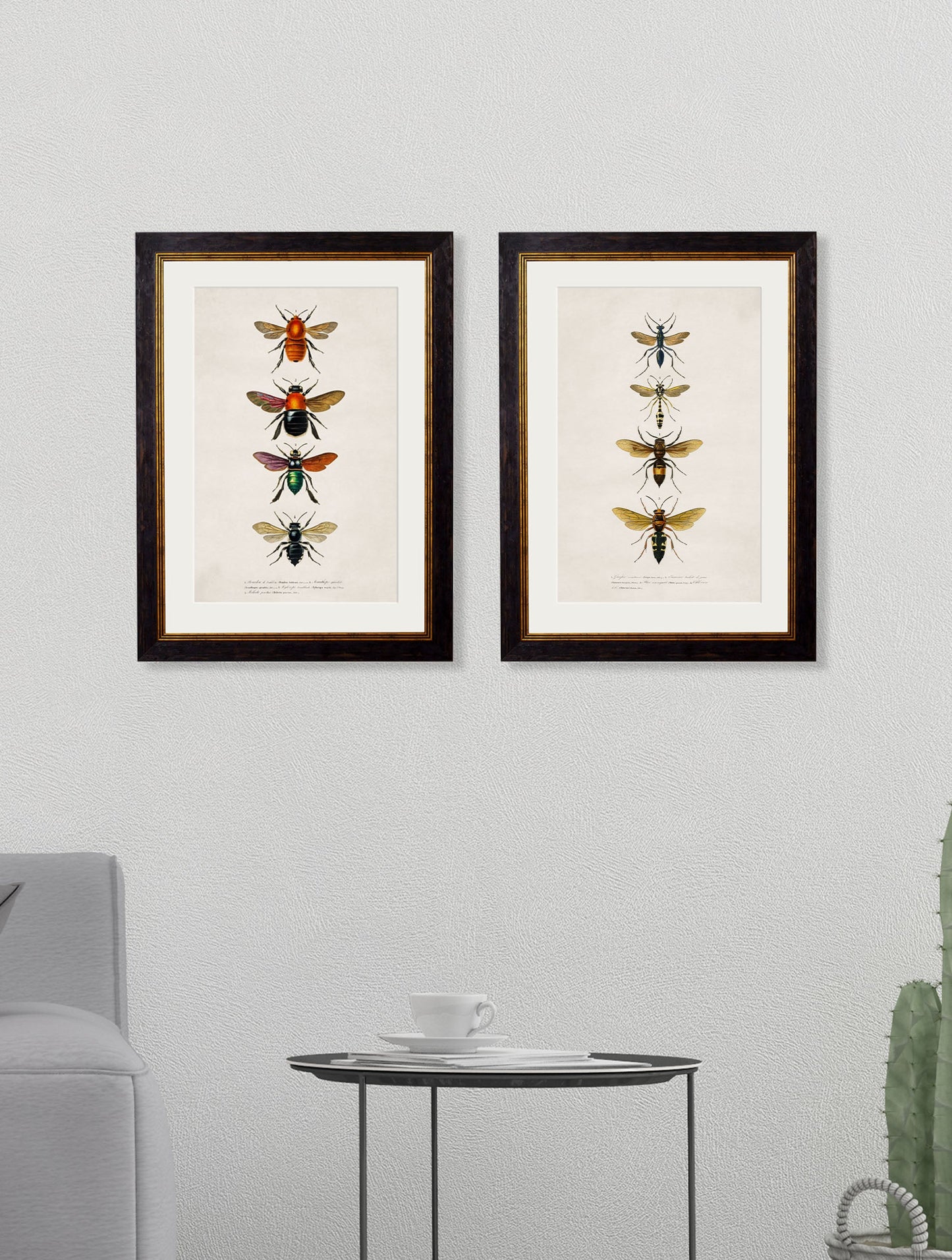 c 1892 bees and wasps giclee print in size 38 x 50cm - glass-fronted framed wall art print with solid wood frame, luxury wall art for sophisticated spaces