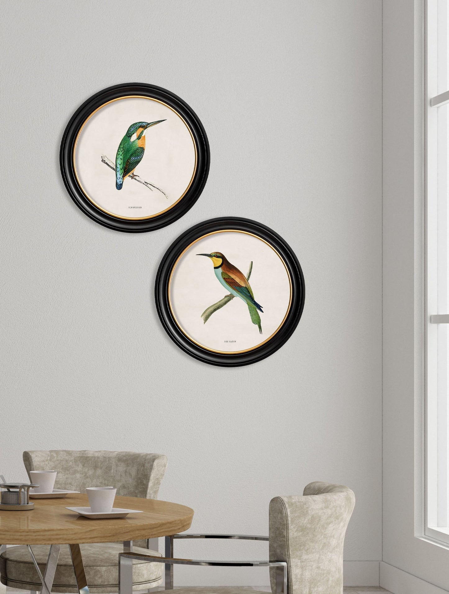 c 1870 kingfisher and bee eater in size 44 x 44cm - glass-fronted framed wall art print with solid wood frame, perfect for luxury home decor