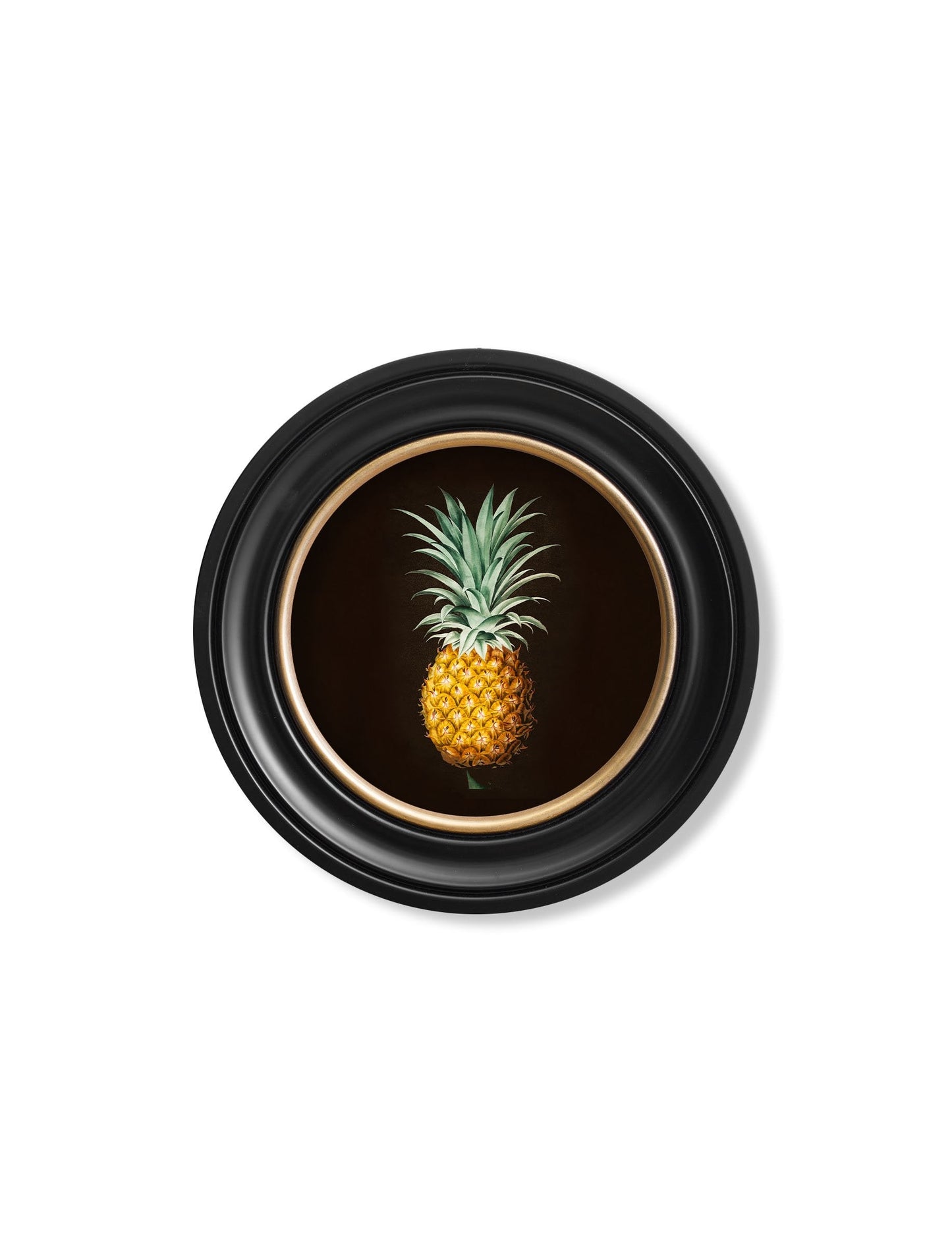 c 1812 pineapple study round frame in size 96 x 96cm - glass-fronted framed wall art print with solid wood frame, designed for high-end interior design