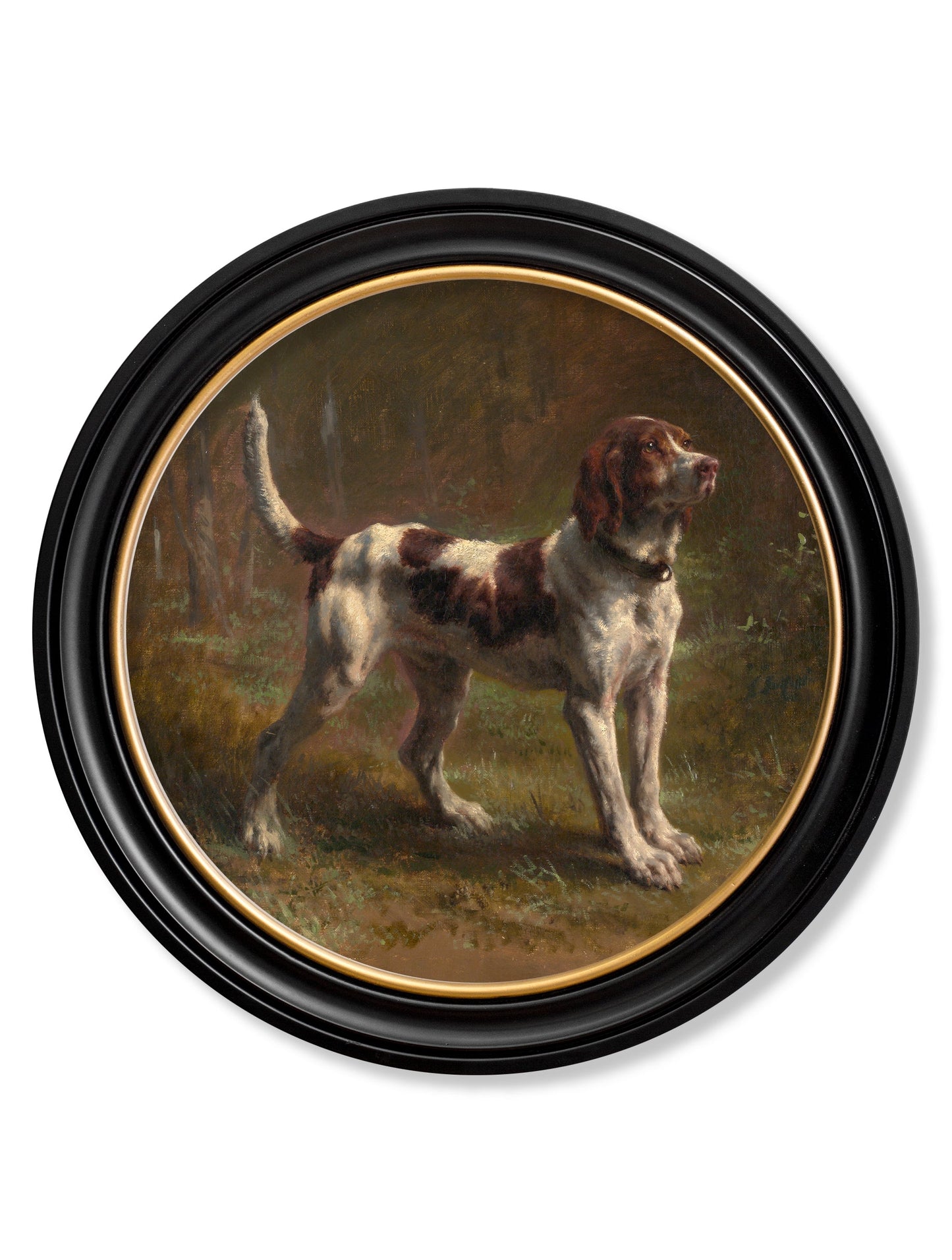 c.1856 Beagle Bloodhound - Round Frame in size 44 x 44cm - glass-fronted framed wall art print with solid wood frame, a beautiful addition to stylish homes