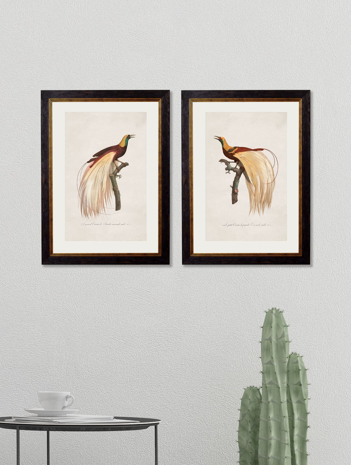c 1809 birds of paradise in size 38 x 50cm - glass-fronted framed wall art print with solid wood frame, adds elegance to your decor
