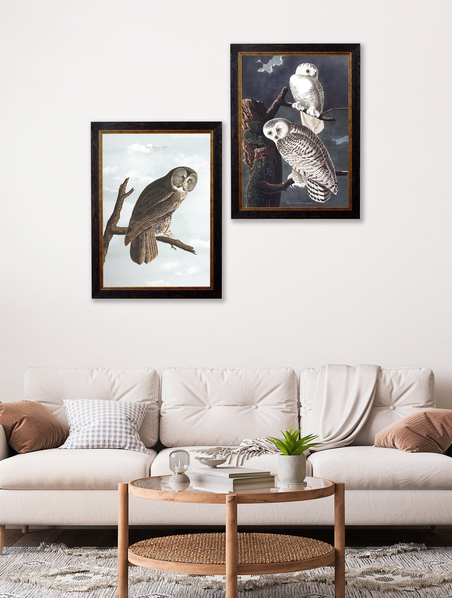 c 1838 audubons owls in size 38 x 50cm - glass-fronted framed wall art print with solid wood frame, perfect for statement wall decor