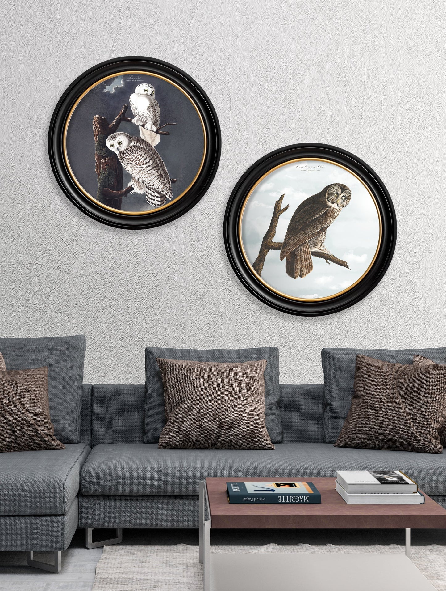 of c 1838 audubons snowy owl round frame in size 44 x 44 cm - glass-fronted framed wall art print with solid wood frame, perfect for statement wall decor