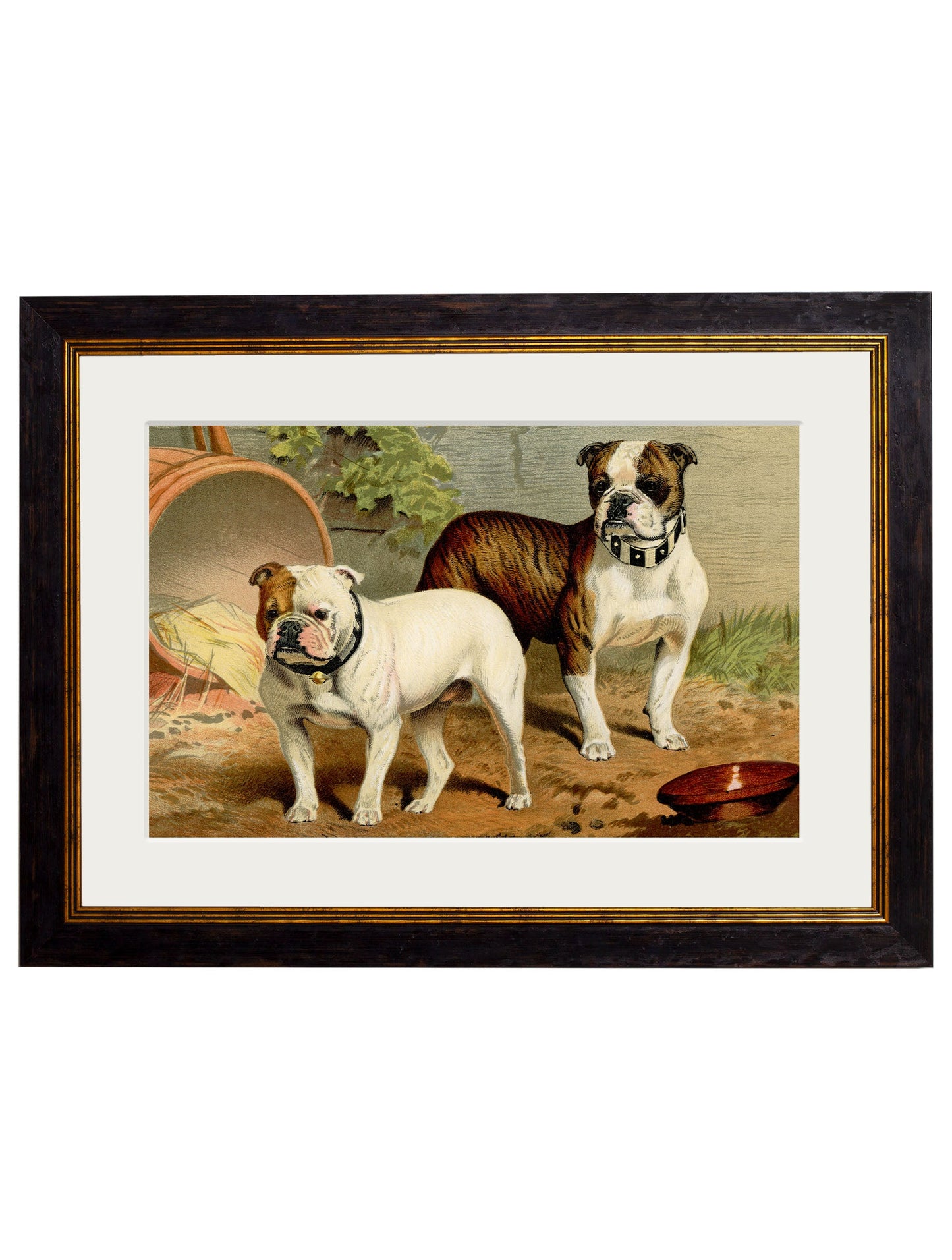 c 1881 dogs in size 38 x 50cm - glass-fronted framed wall art print with solid wood frame, perfect for statement wall decor