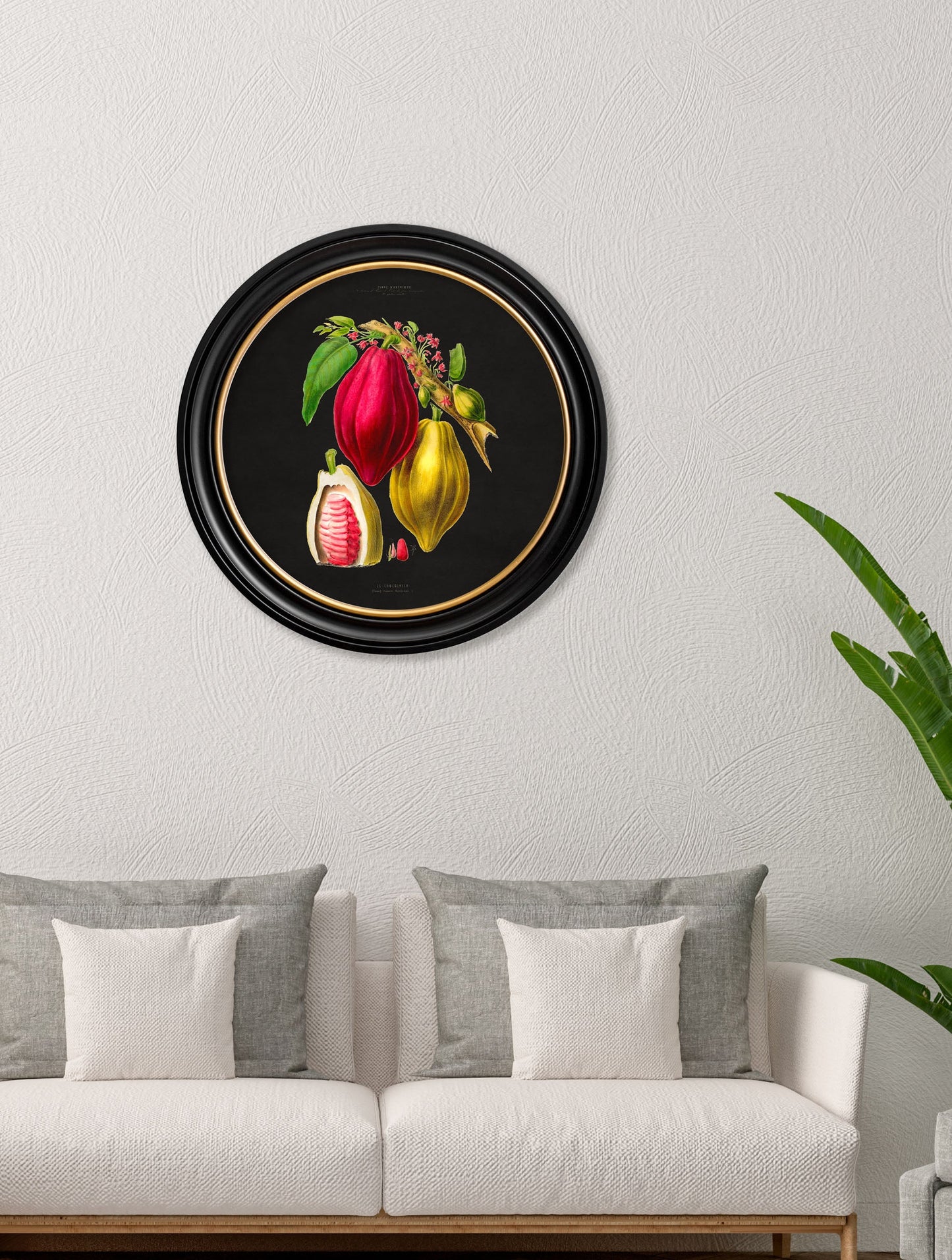 c 1843 chocolate plant round frame black in size 70x 70cm - glass-fronted framed wall art print with solid wood frame, perfect for luxury home decor