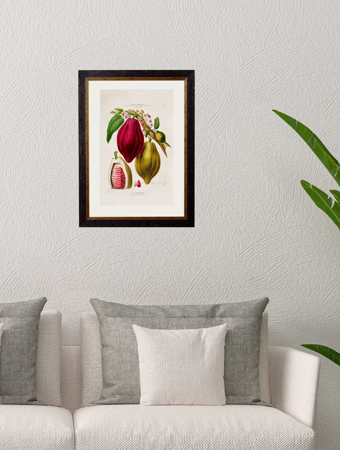 c 1843 chocolate plant framed print in size 50 x 70cm - glass-fronted framed wall art print with solid wood frame, adds elegance to your decor
