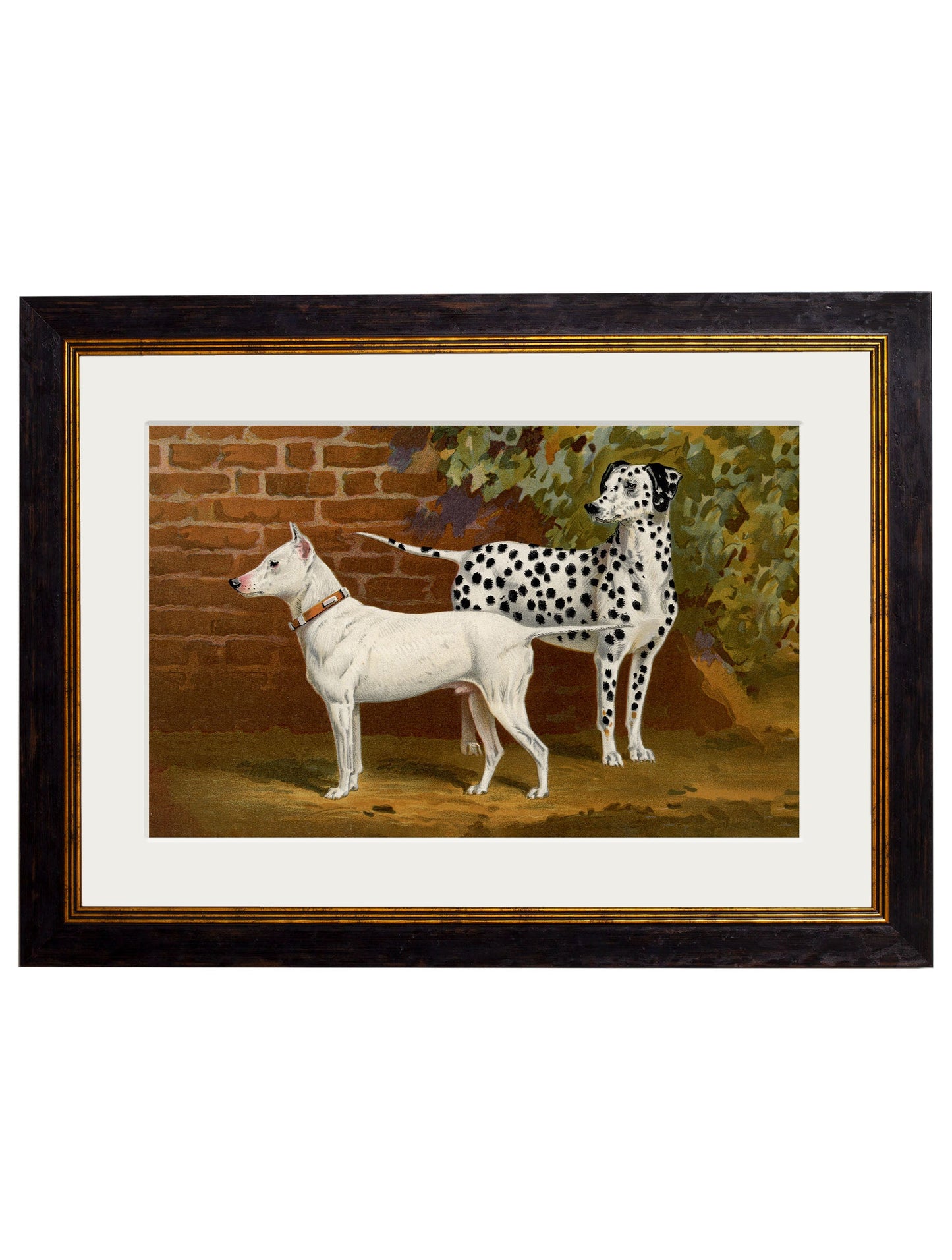 c 1881 dogs in size 38 x 50cm - glass-fronted framed wall art print with solid wood frame, designed for high-end interior design