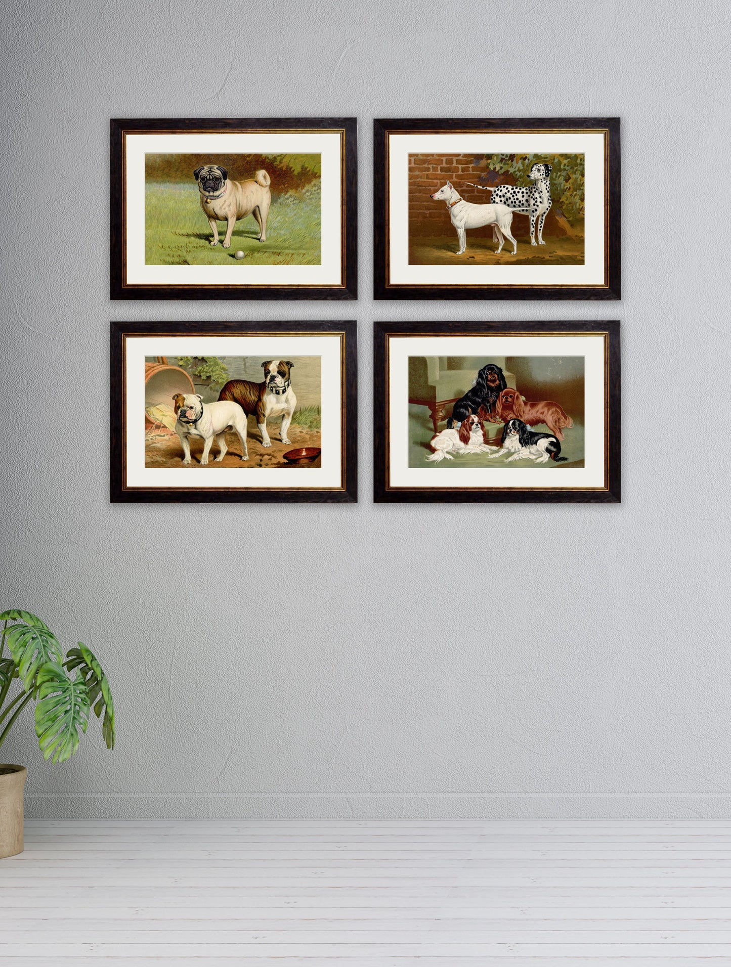 c 1881 dogs in size 38 x 50cm - glass-fronted framed wall art print with solid wood frame, a beautiful addition to stylish homes