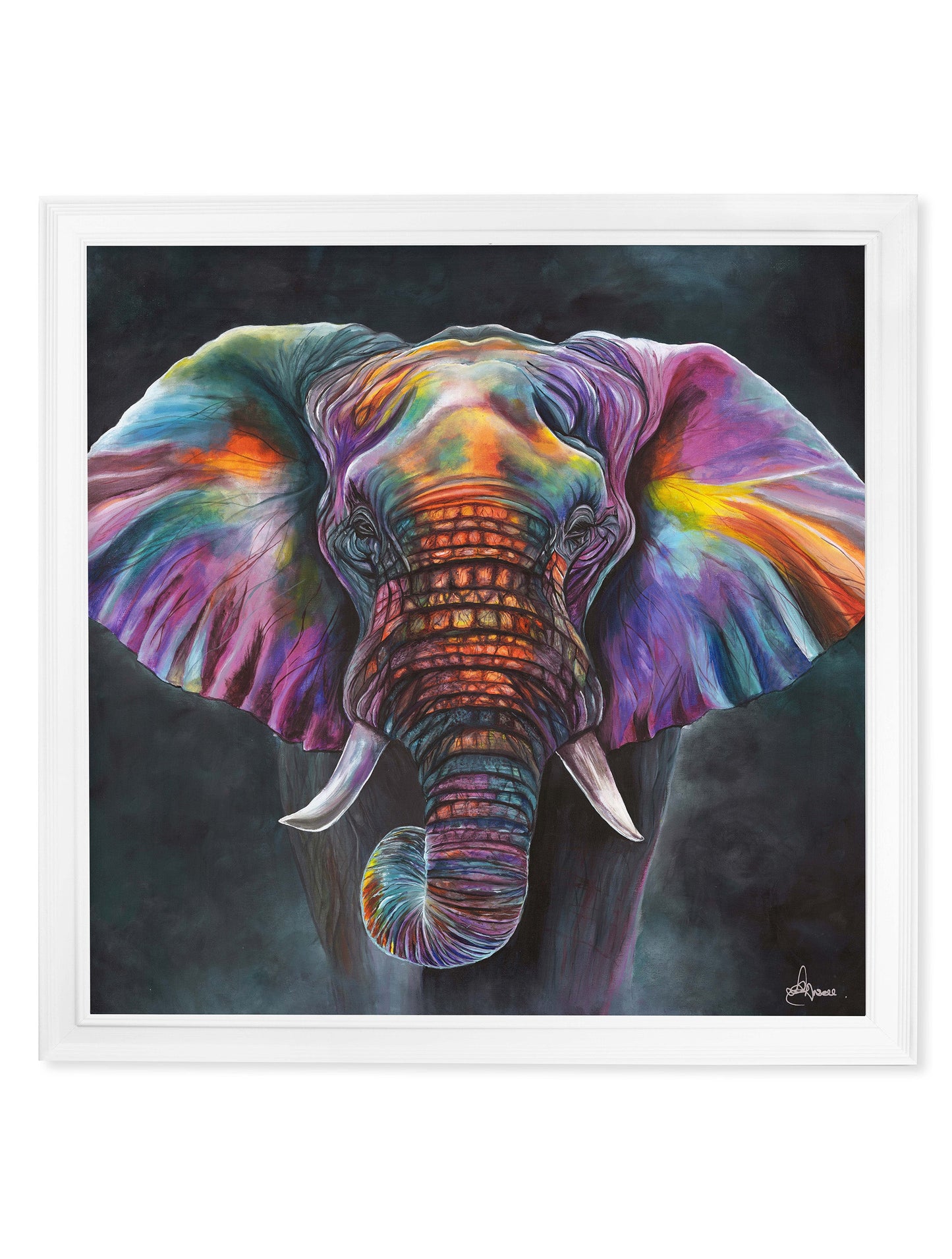 elephant print wisdom by amy ansell strong white square frame - premium glass-fronted framed art print with solid wood frame, luxury wall art for sophisticated spaces