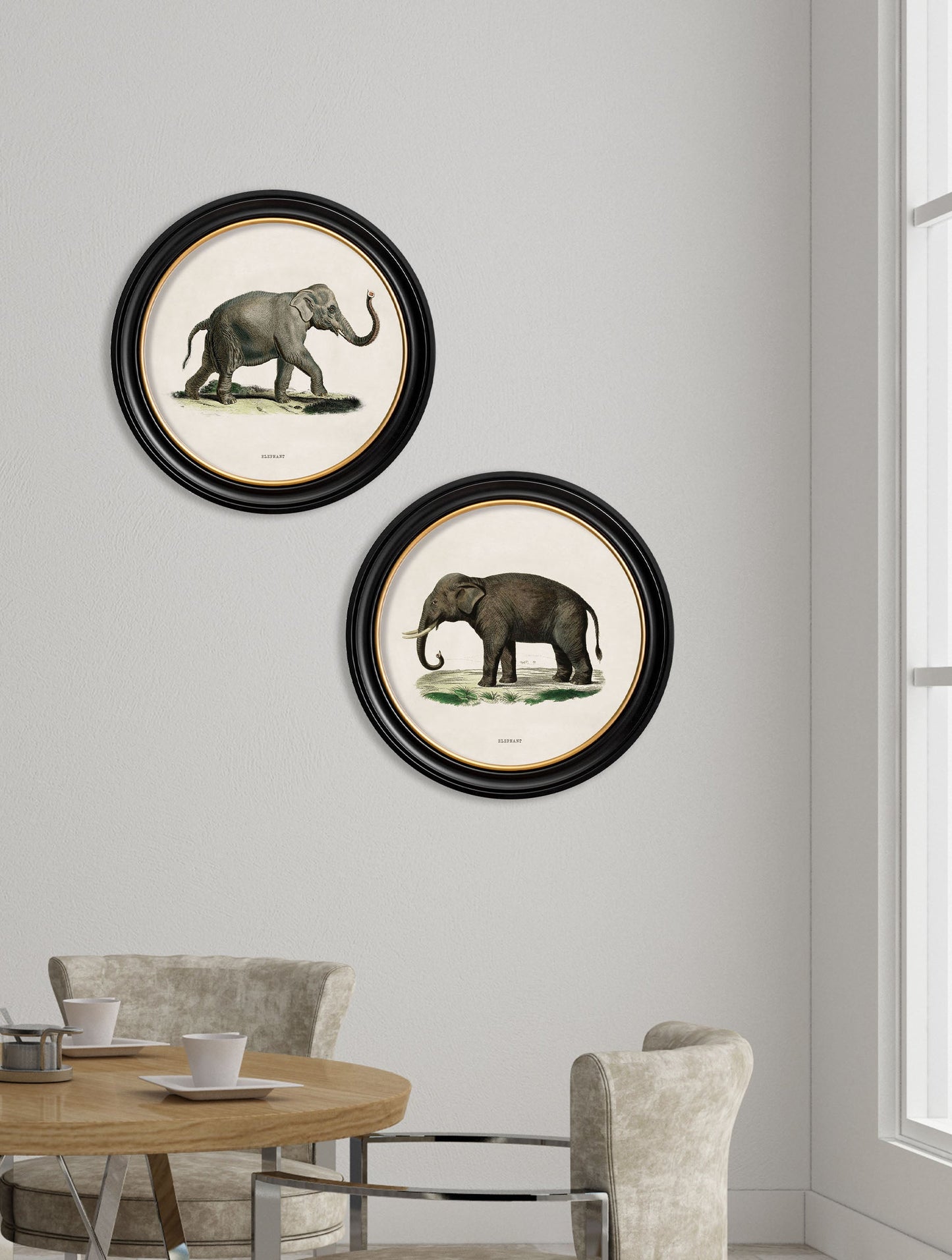 c 1846 elephants in round frame in size 44 x 44cm - glass-fronted framed wall art print with solid wood frame, a beautiful addition to stylish homes