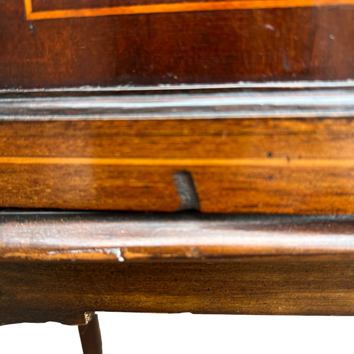Upper moulded cornice and inlay on an Edwardian display cabinet with leaded glass