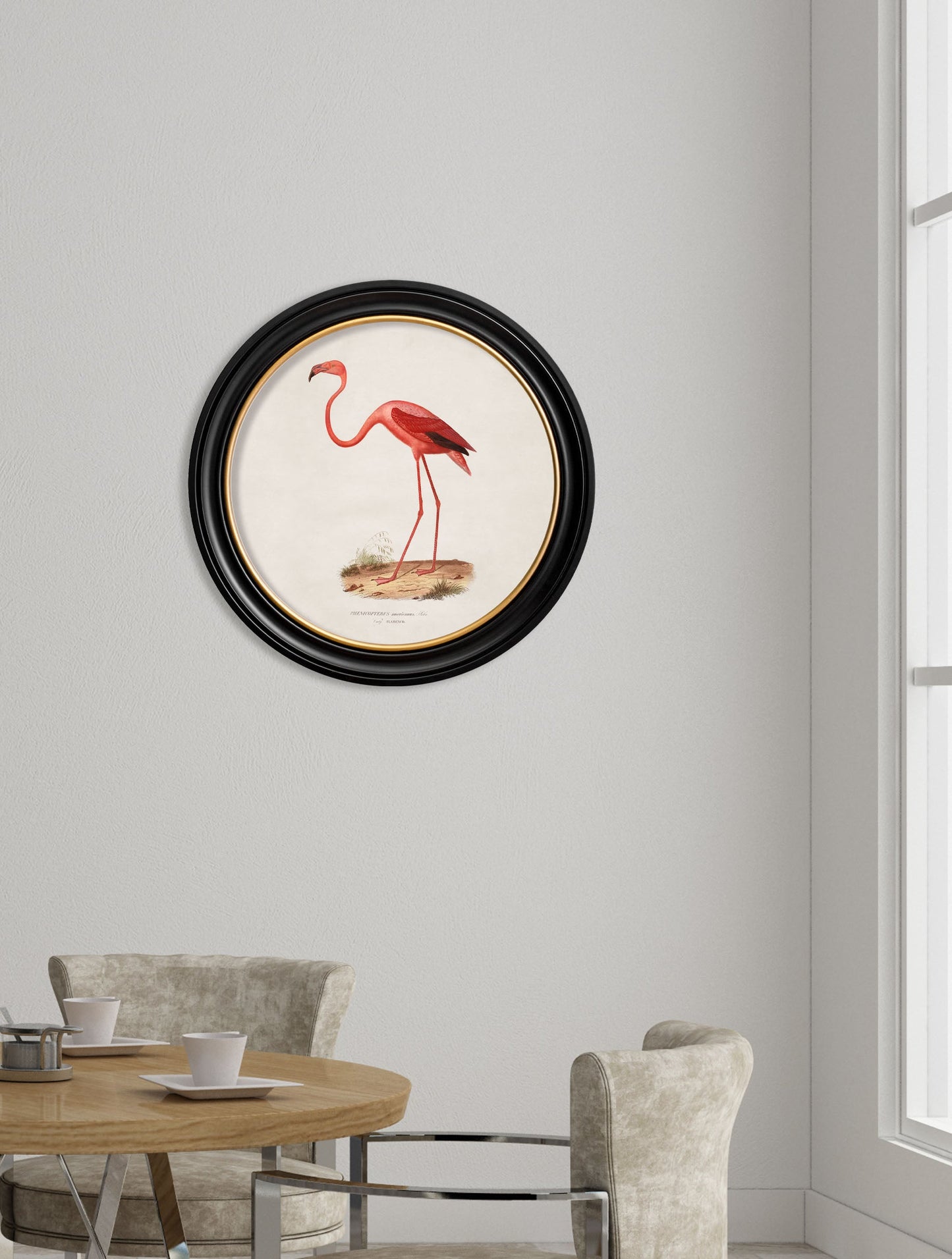 c 1830 flamingo round frame in size 70 x 70cm - glass-fronted framed wall art print with solid wood frame, designed for high-end interior design