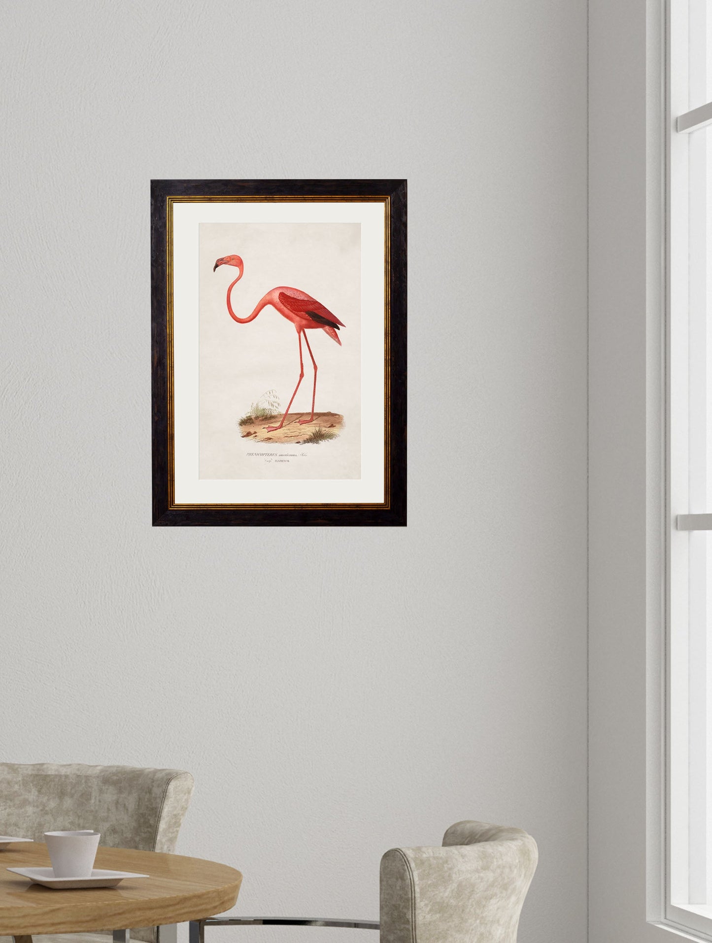 c 1830 flamingo in size 50 x 70cm - glass-fronted framed wall art print with solid wood frame, a beautiful addition to stylish homes